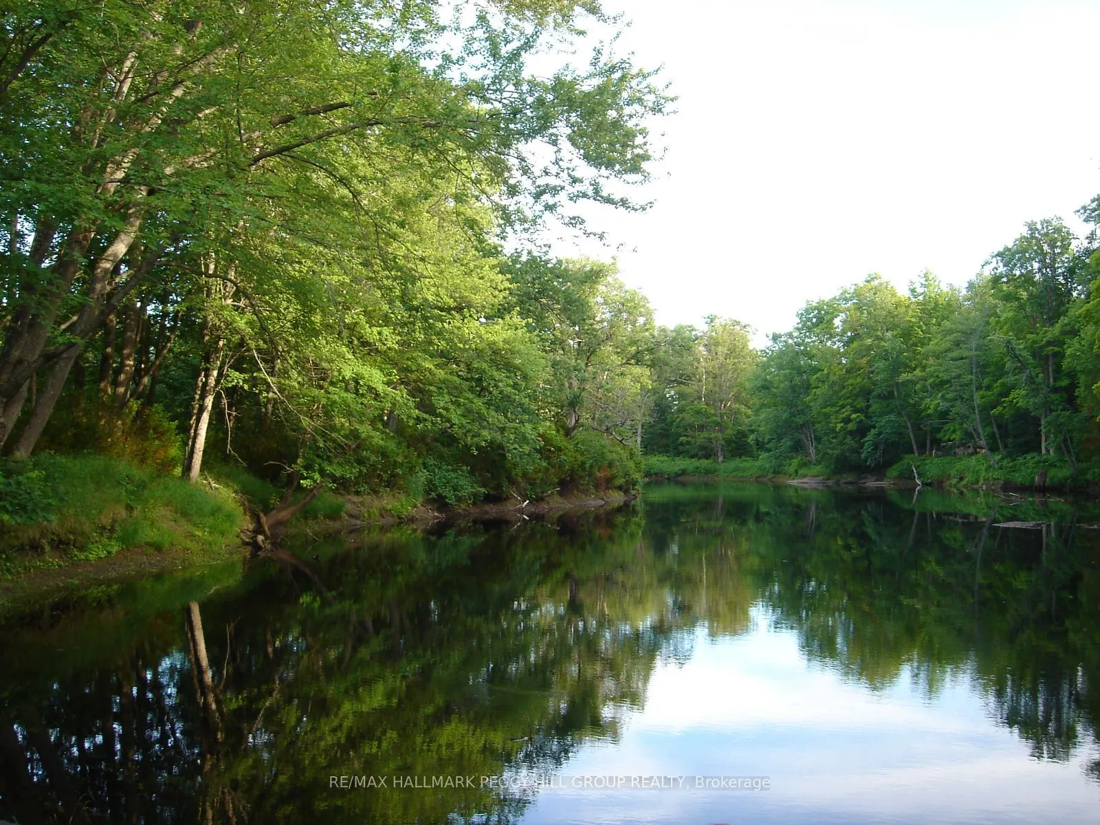 7012 County Road 169