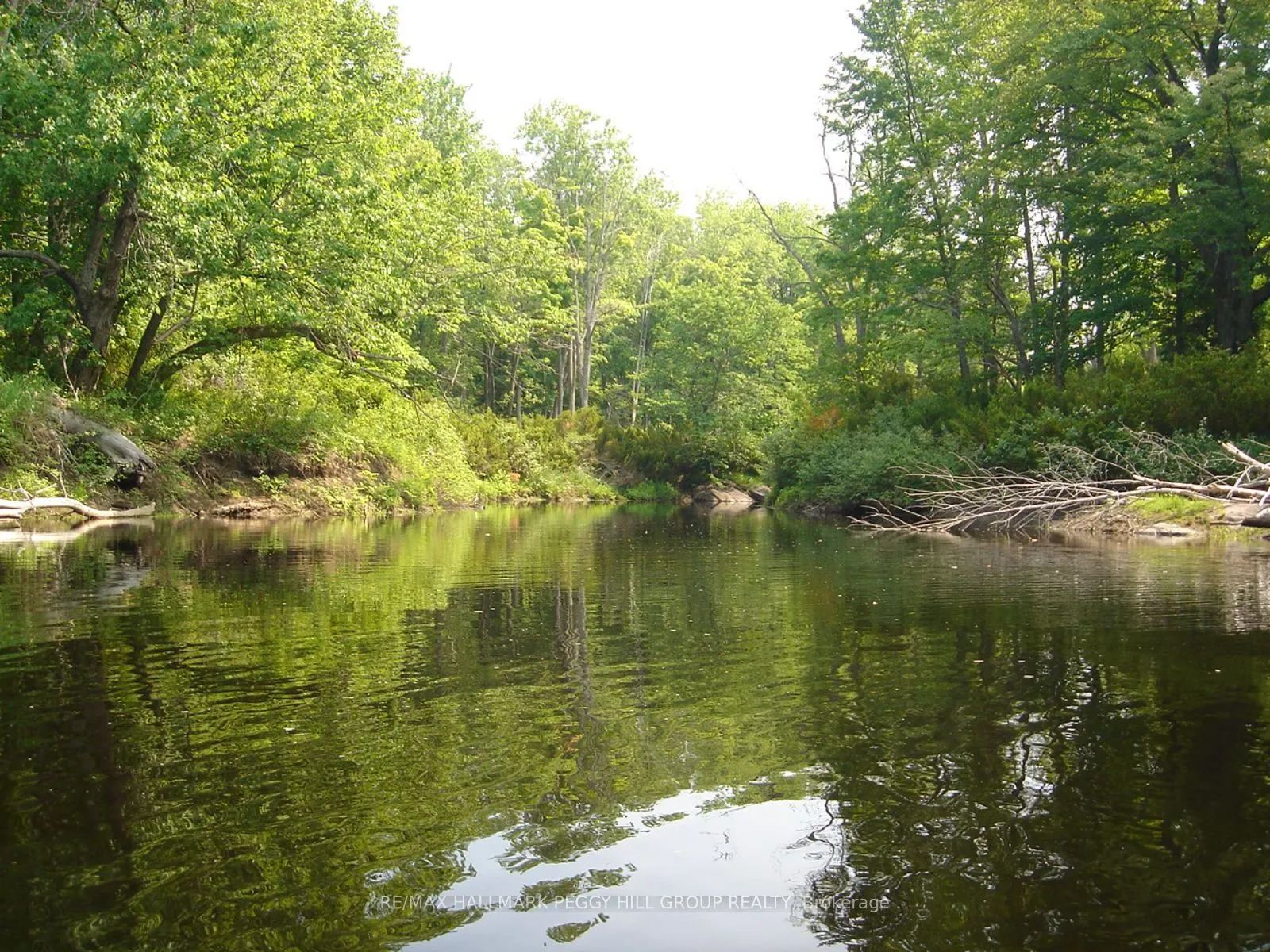 7012 County Road 169