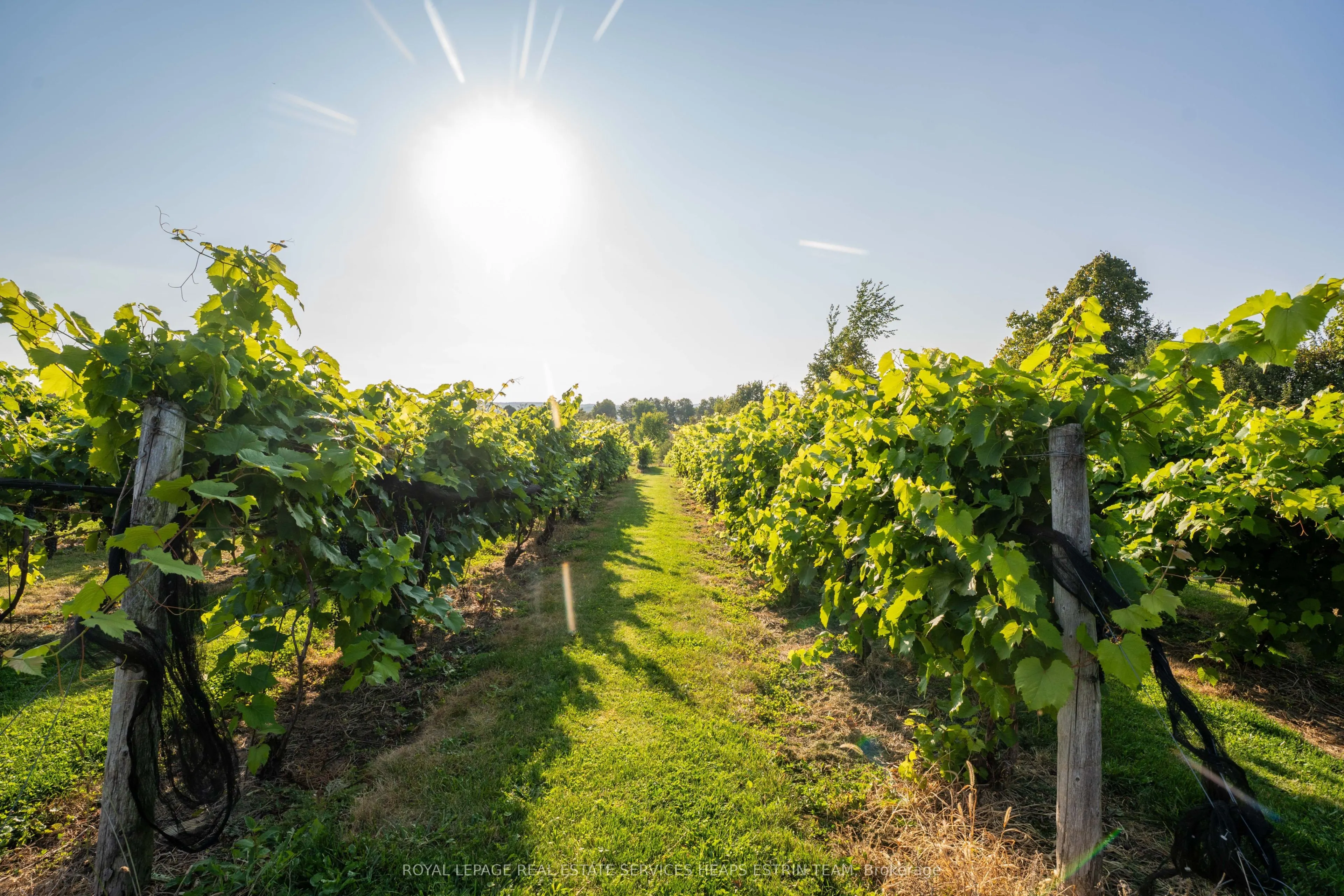 1609 Nottawasaga Concession 6 South