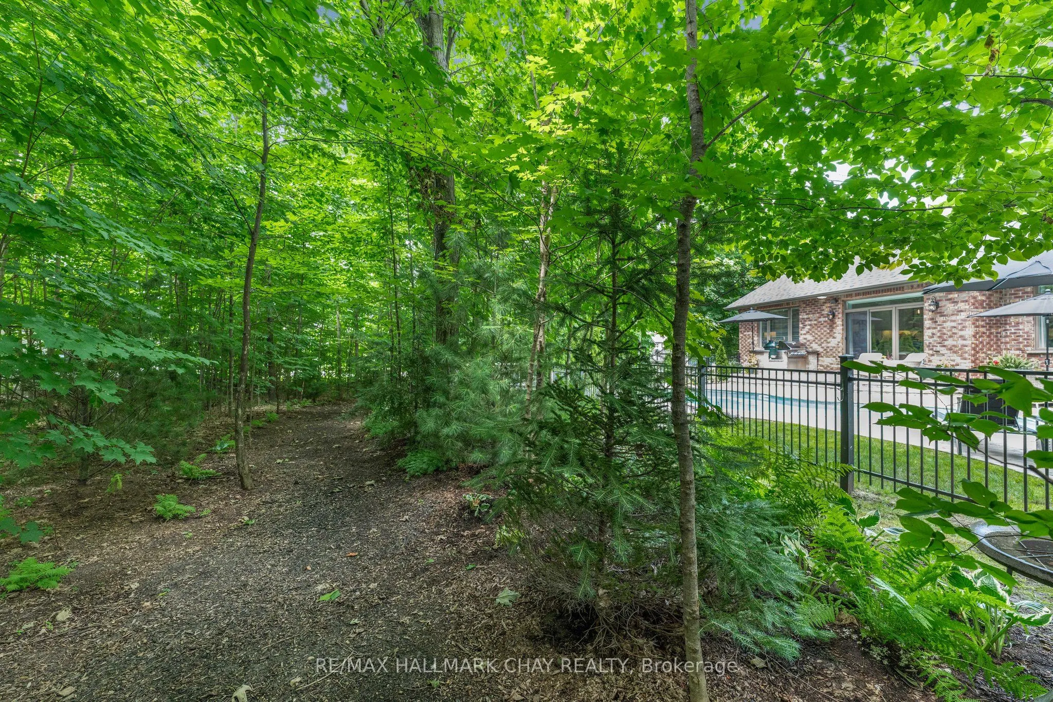 30 Black Creek Trail