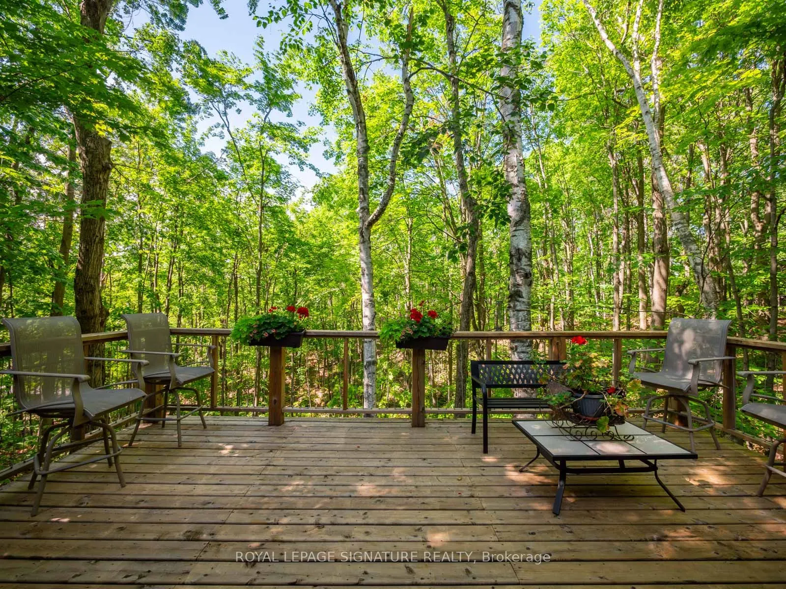 22 Iroquois Ridge