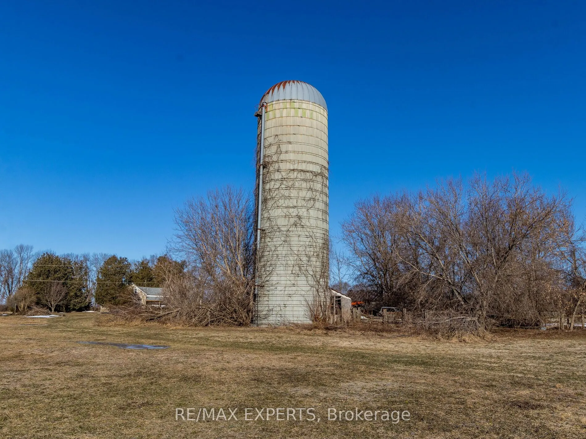 1199 Ramara Road 47