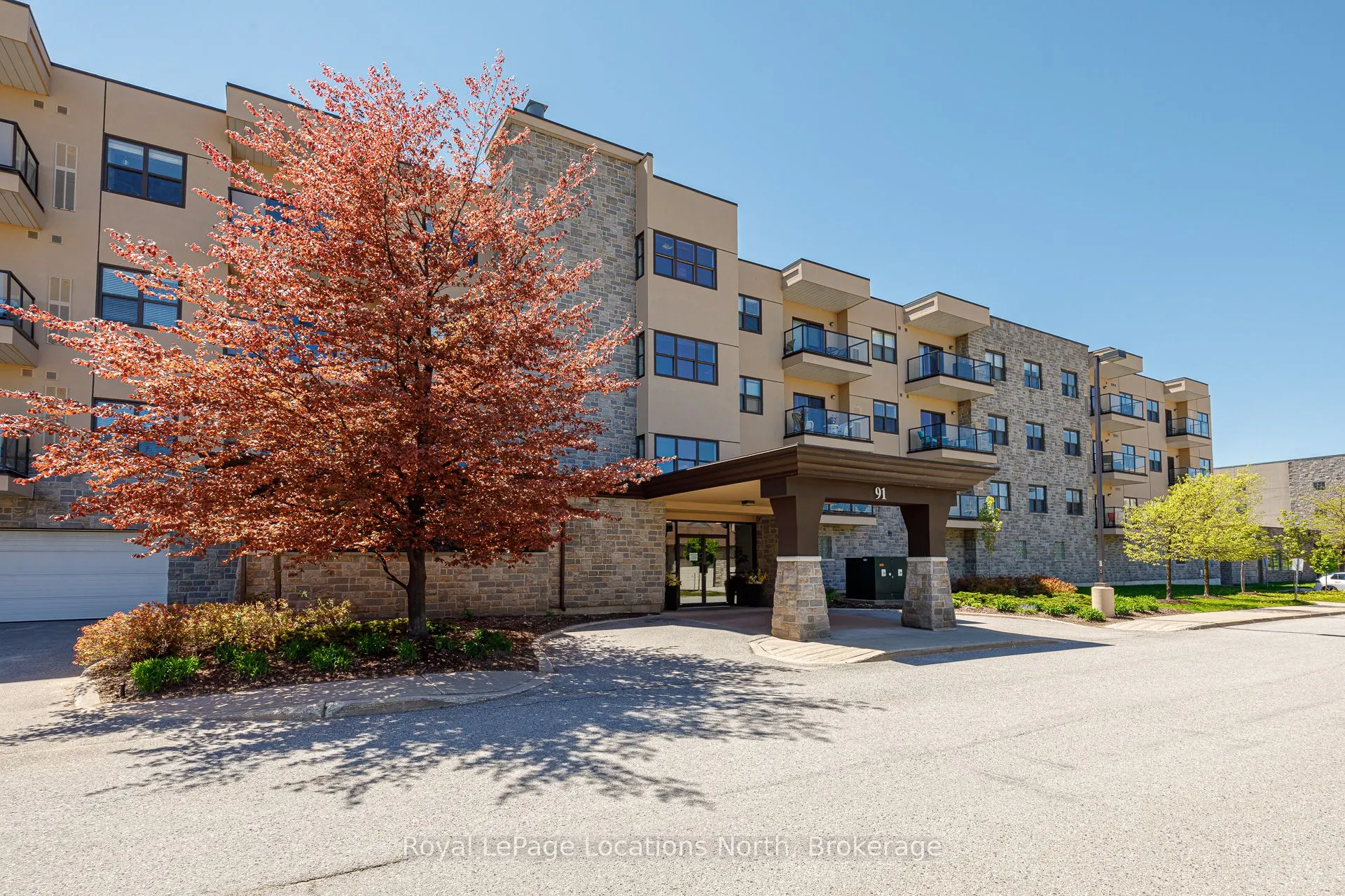 91 Raglan Street, #217