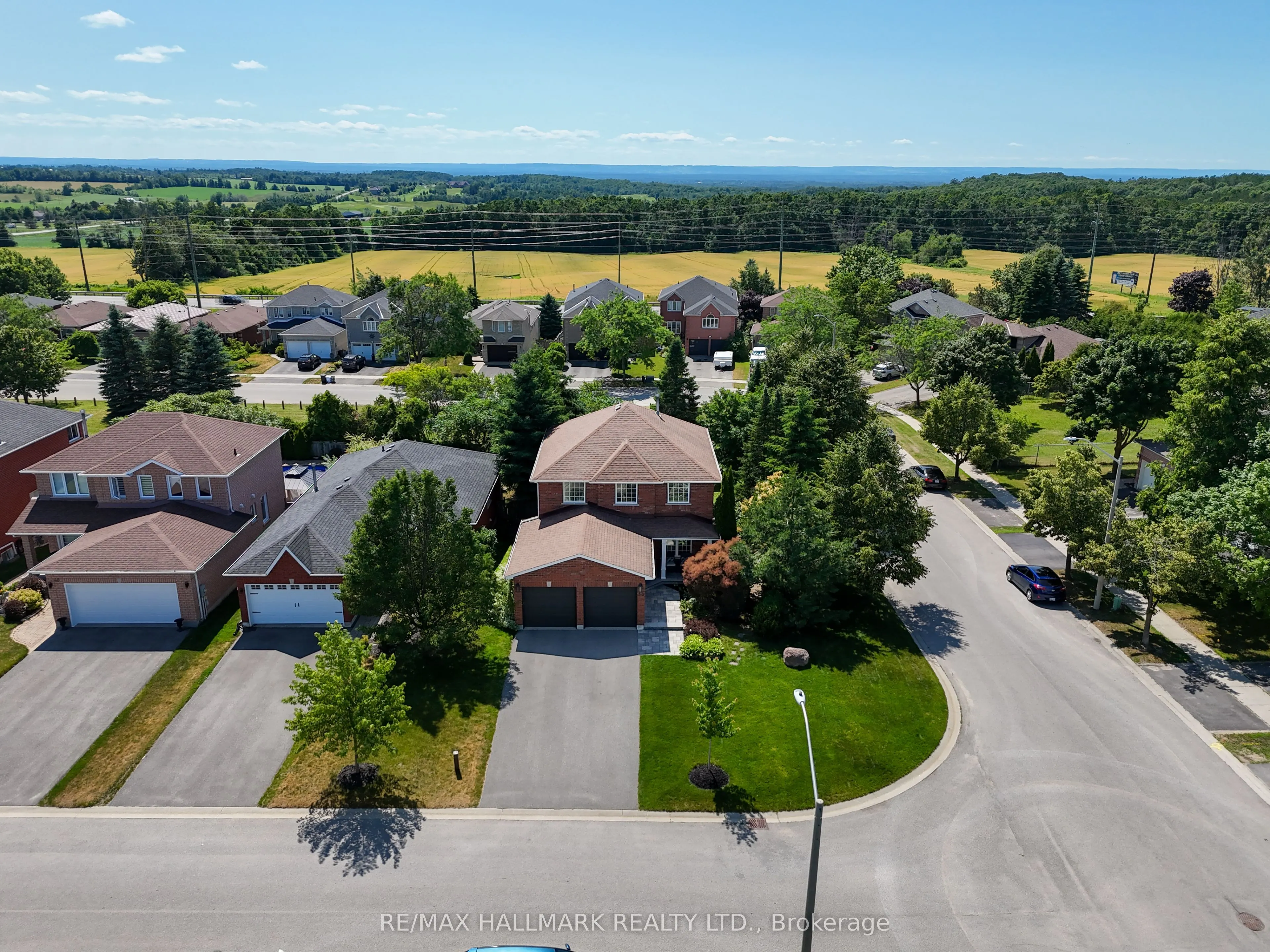 50 Black Willow Drive