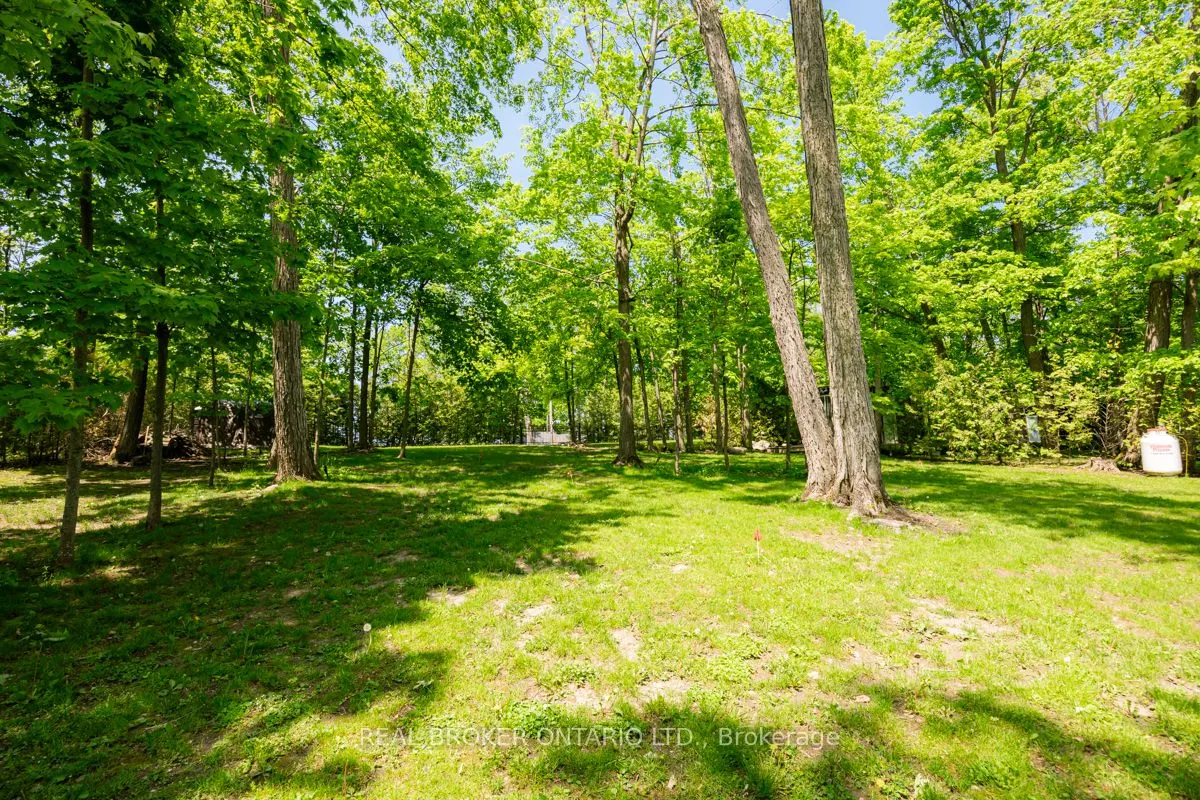 45 Ivy Lane