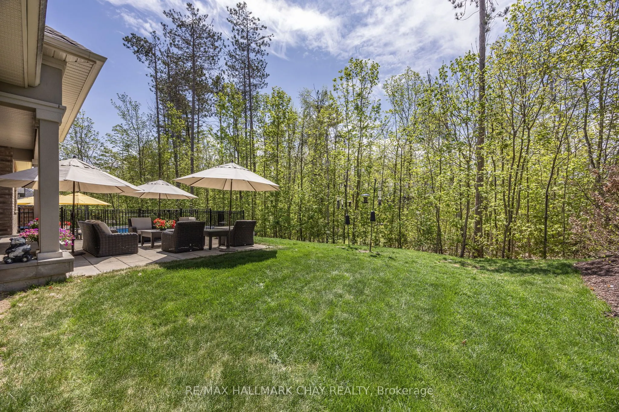 19 Timber Wolf Trail