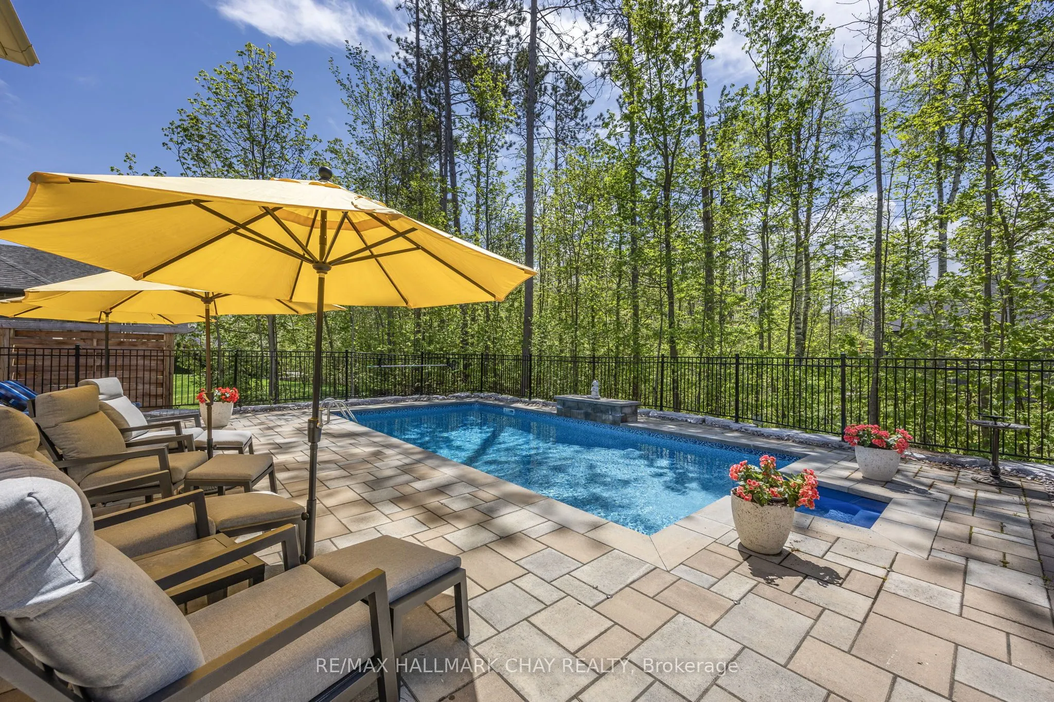 19 Timber Wolf Trail