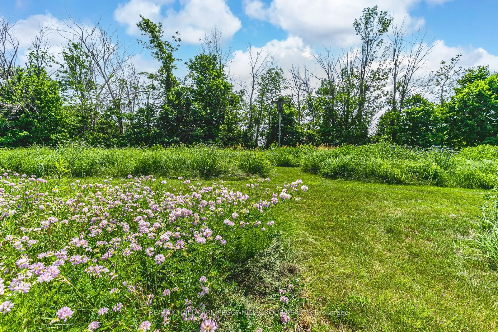10195 Highway 12 W