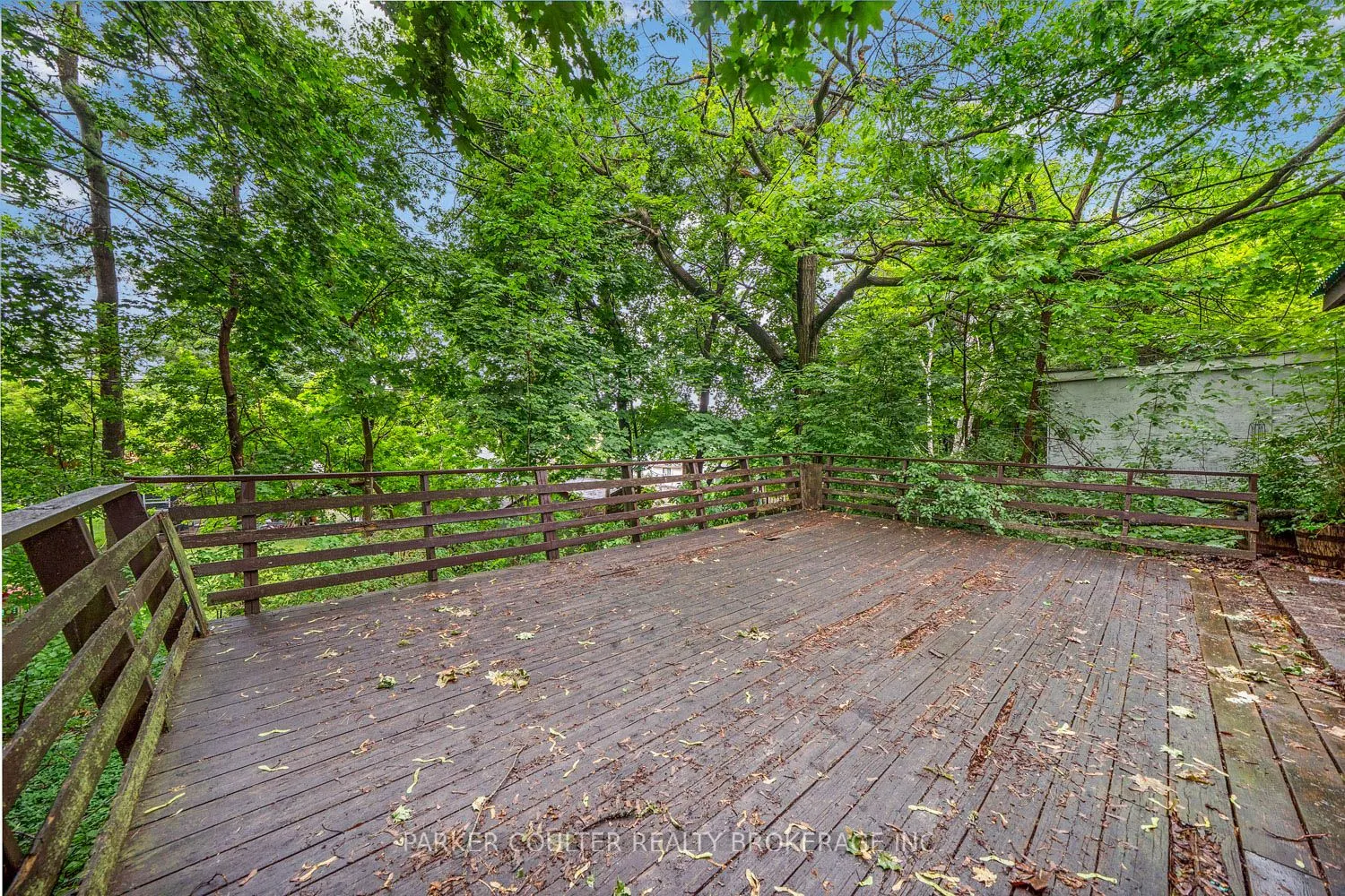 39 Elmer Avenue