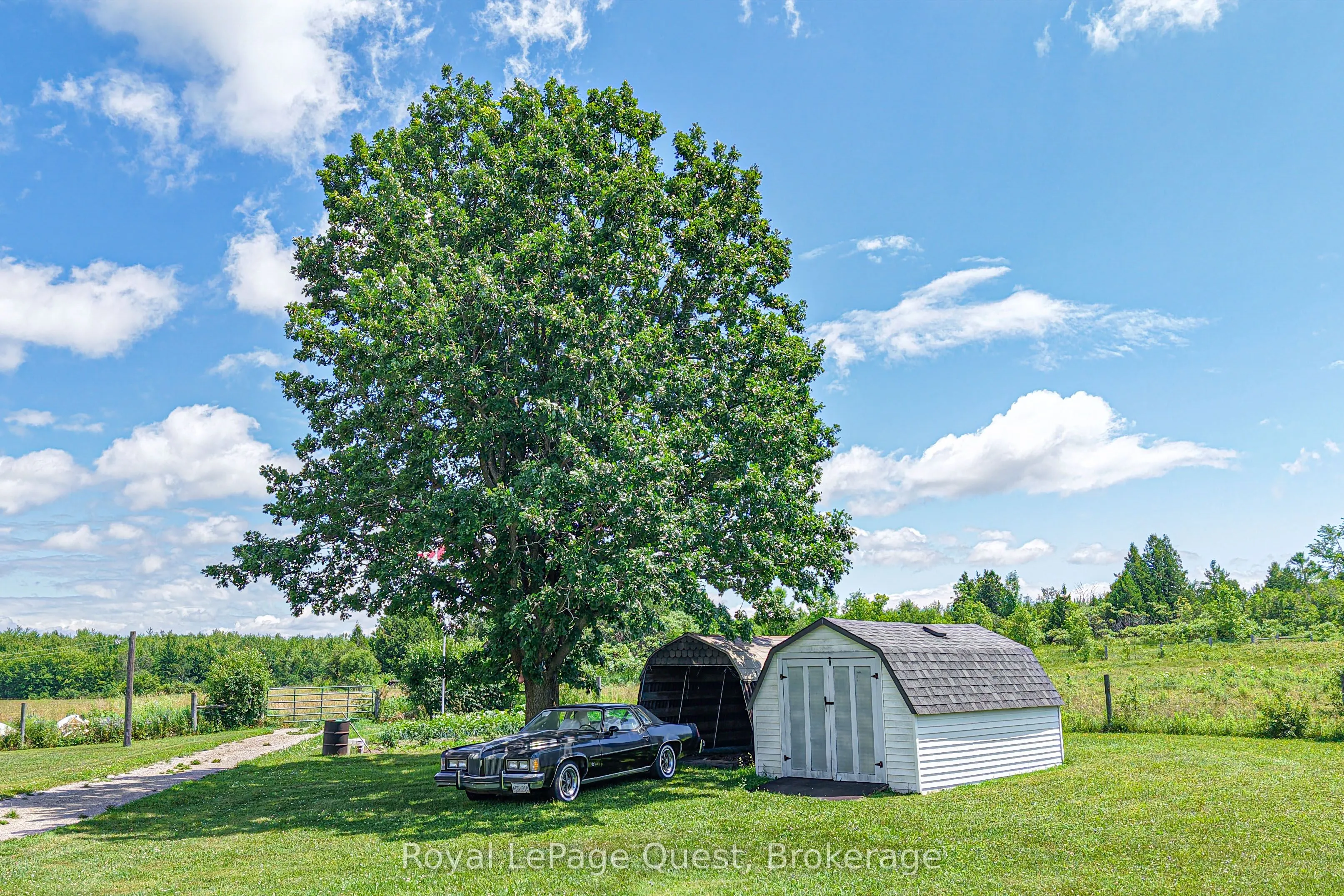 3891 Monck Road