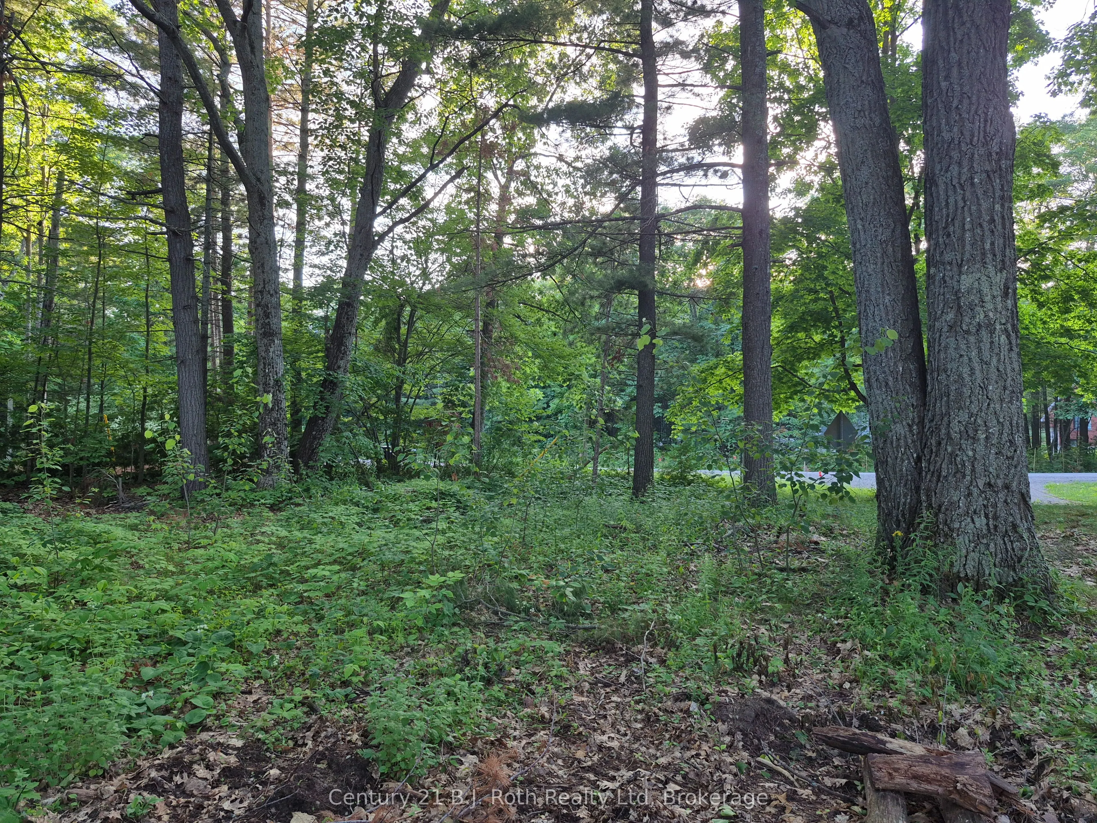 1379 Champlain Road