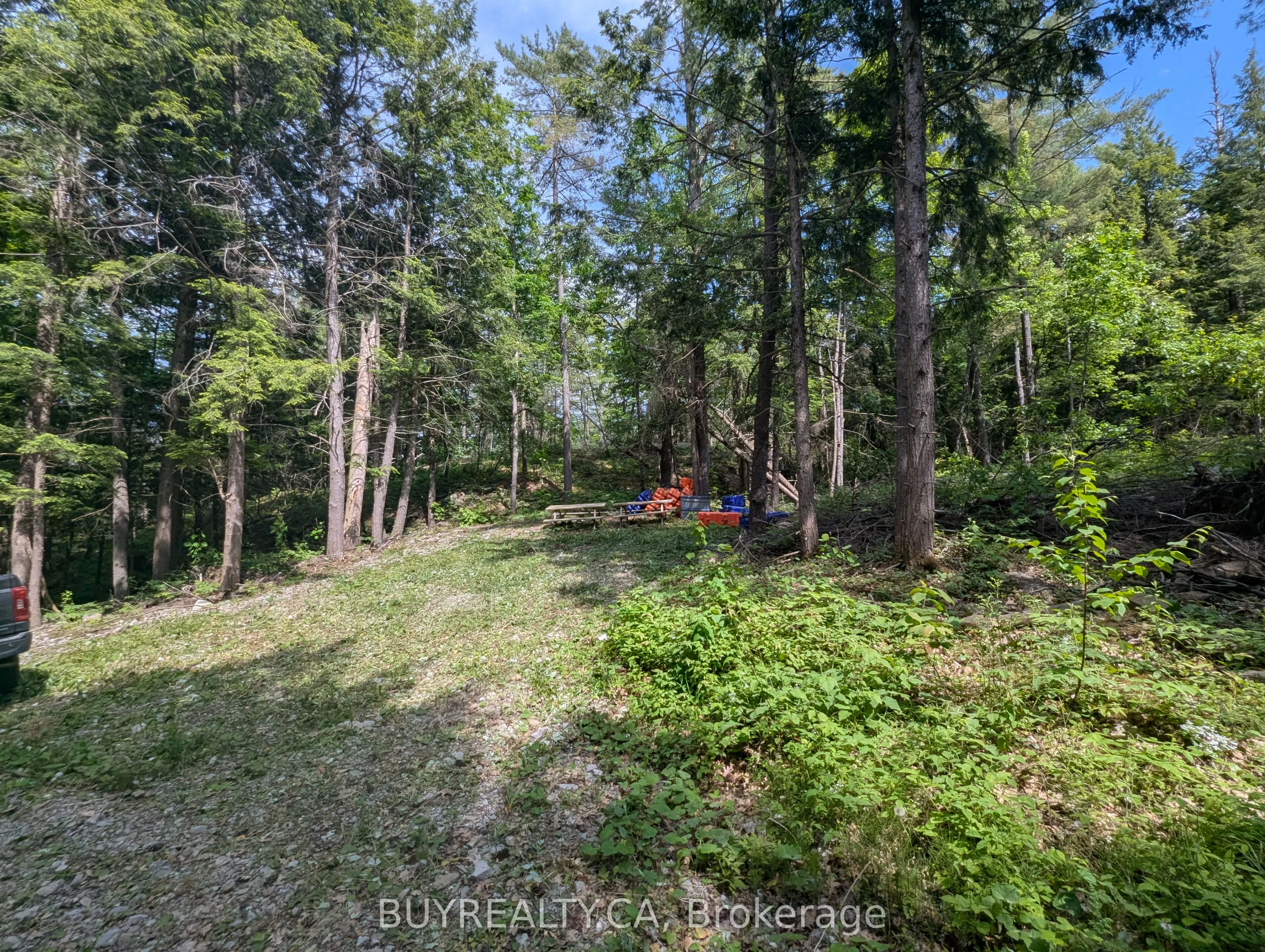 2318 Sherwood Forest Lane