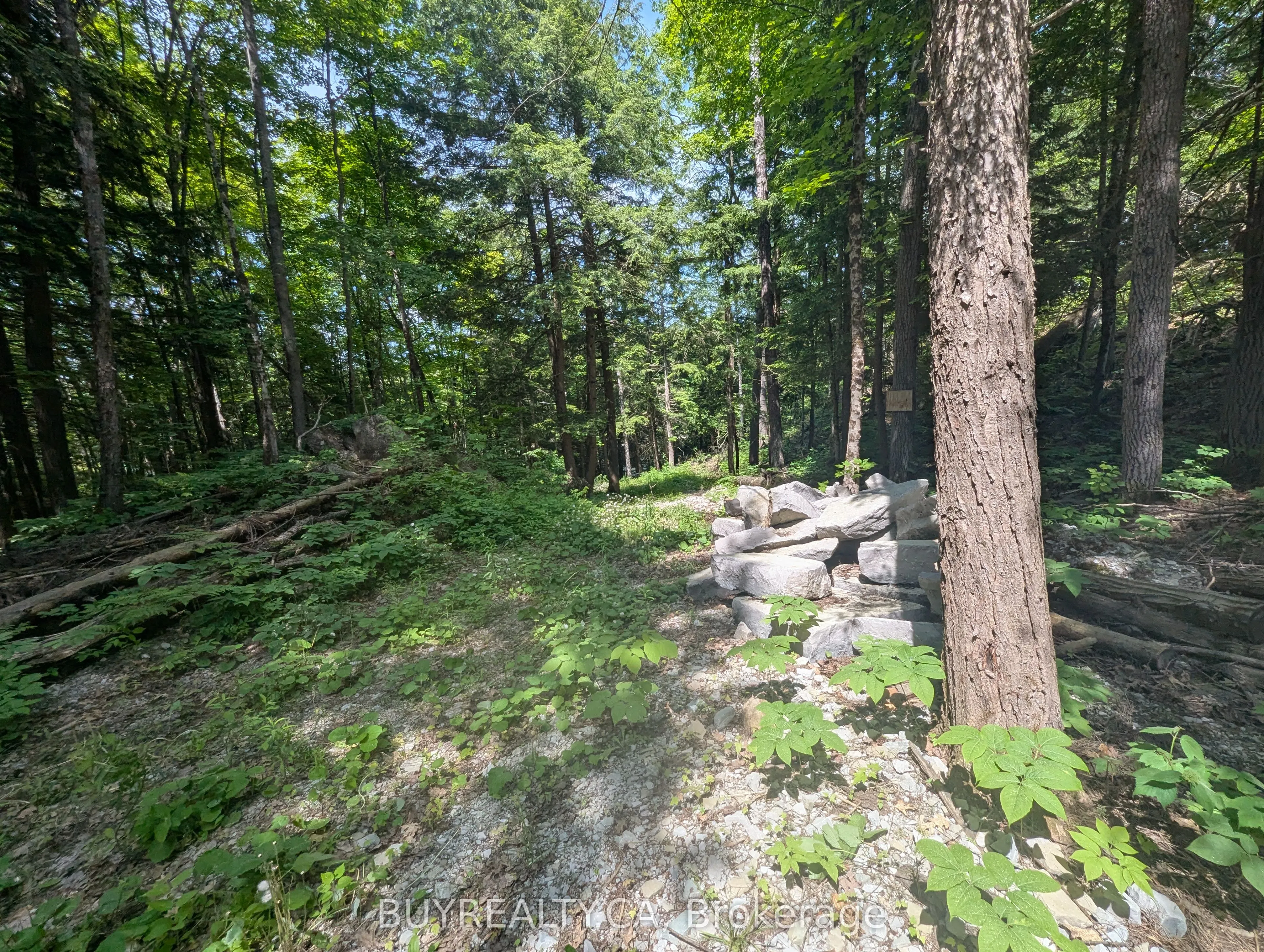 2318 Sherwood Forest Lane