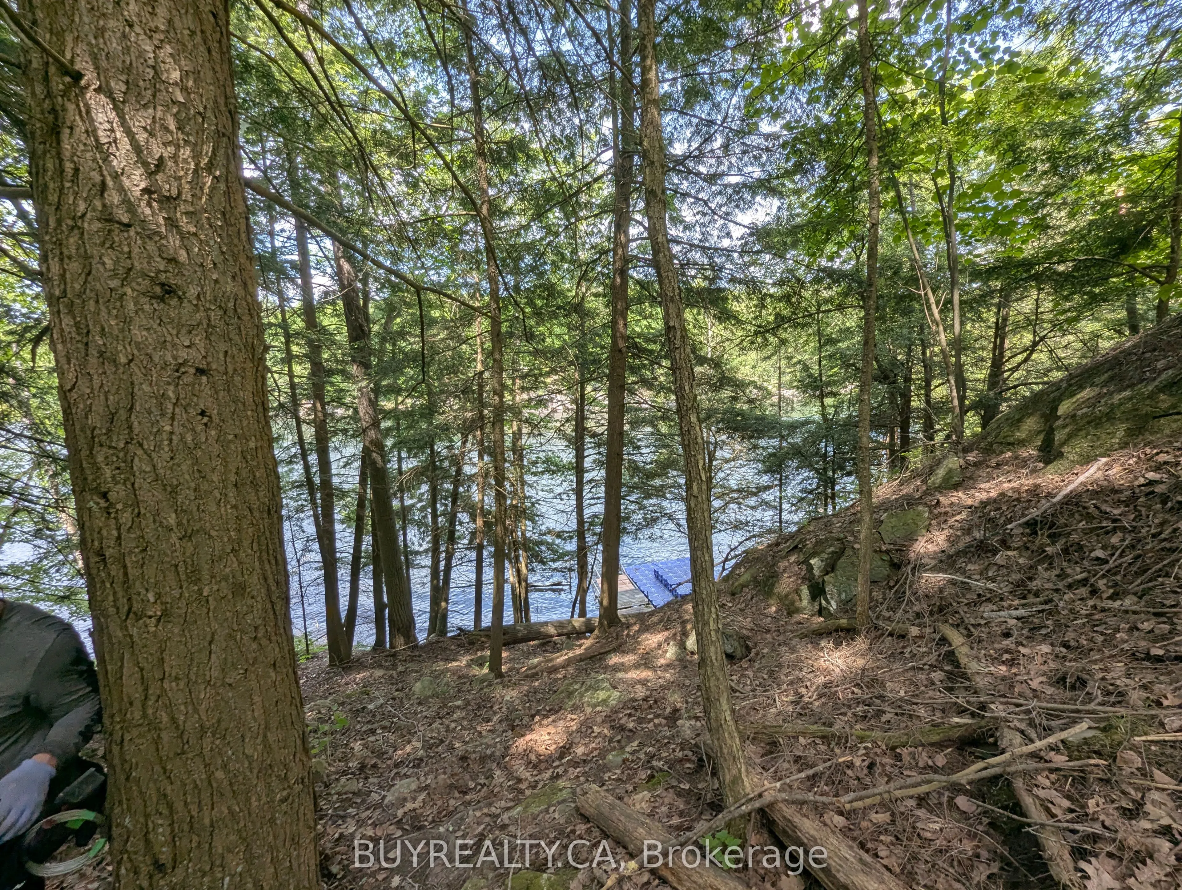 2318 Sherwood Forest Lane