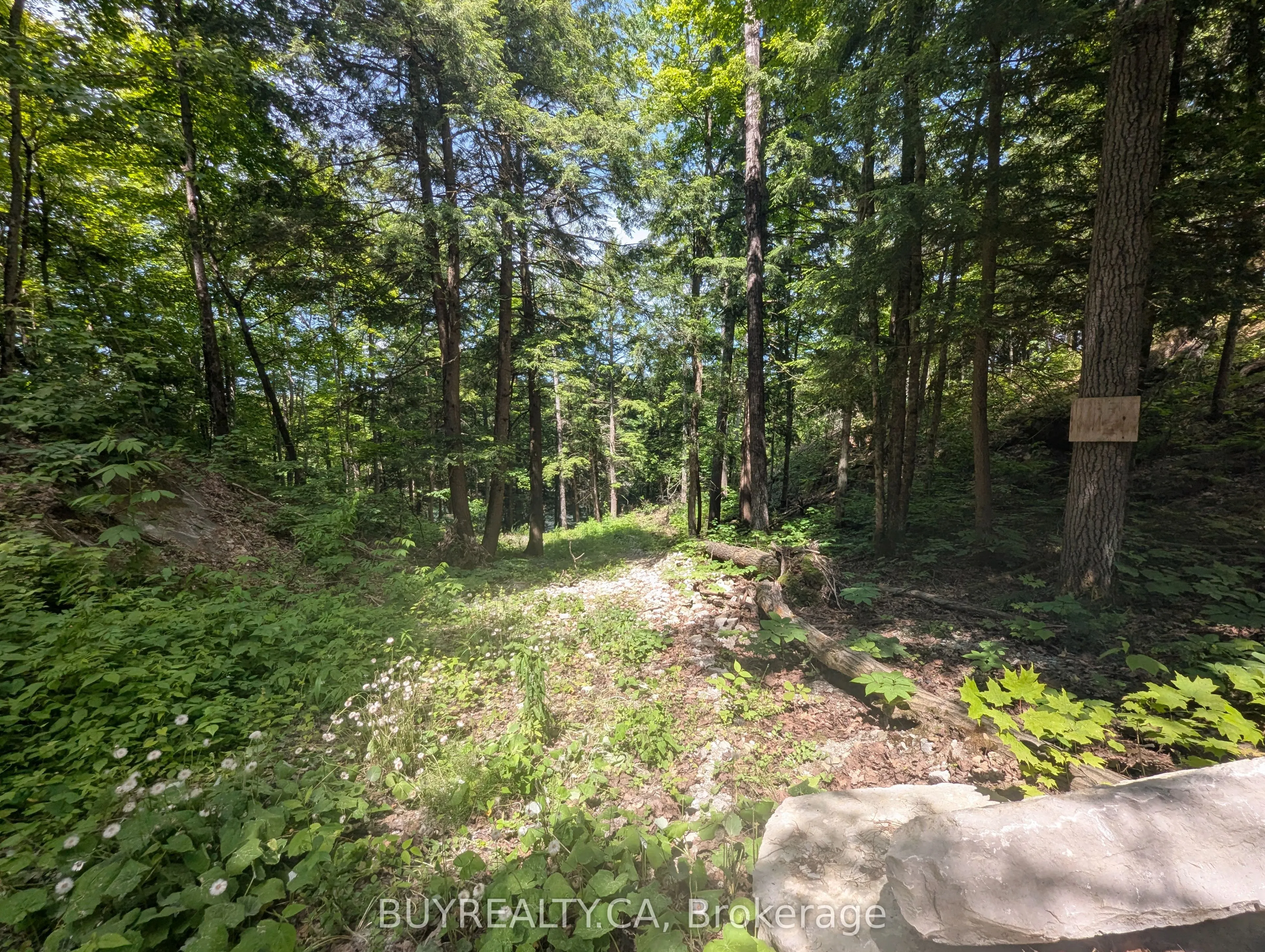 2318 Sherwood Forest Lane