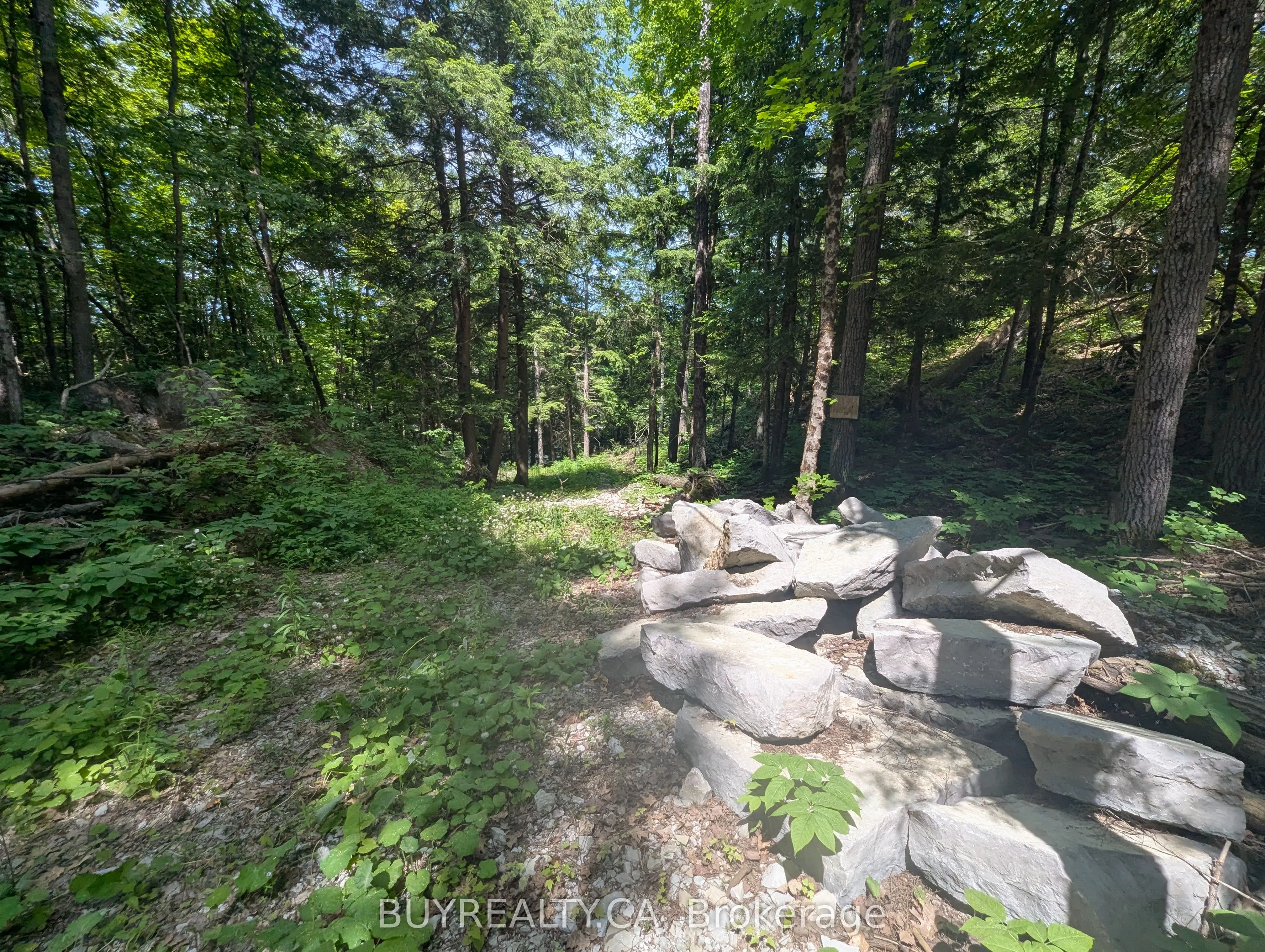 2318 Sherwood Forest Lane