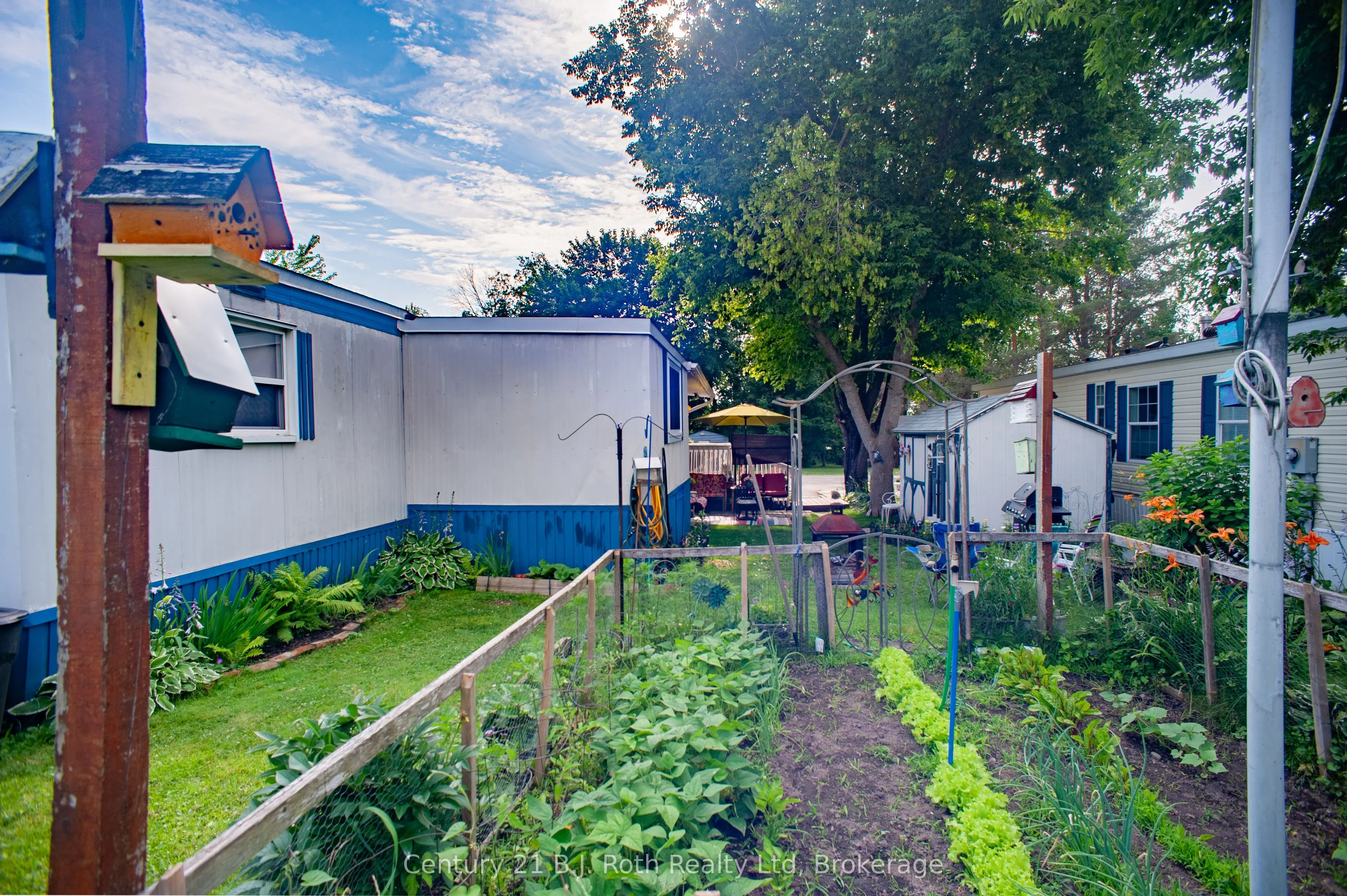 25 Vic's Road