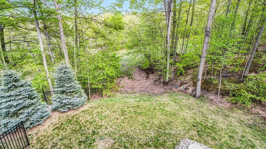 54 Pine Ridge Trail