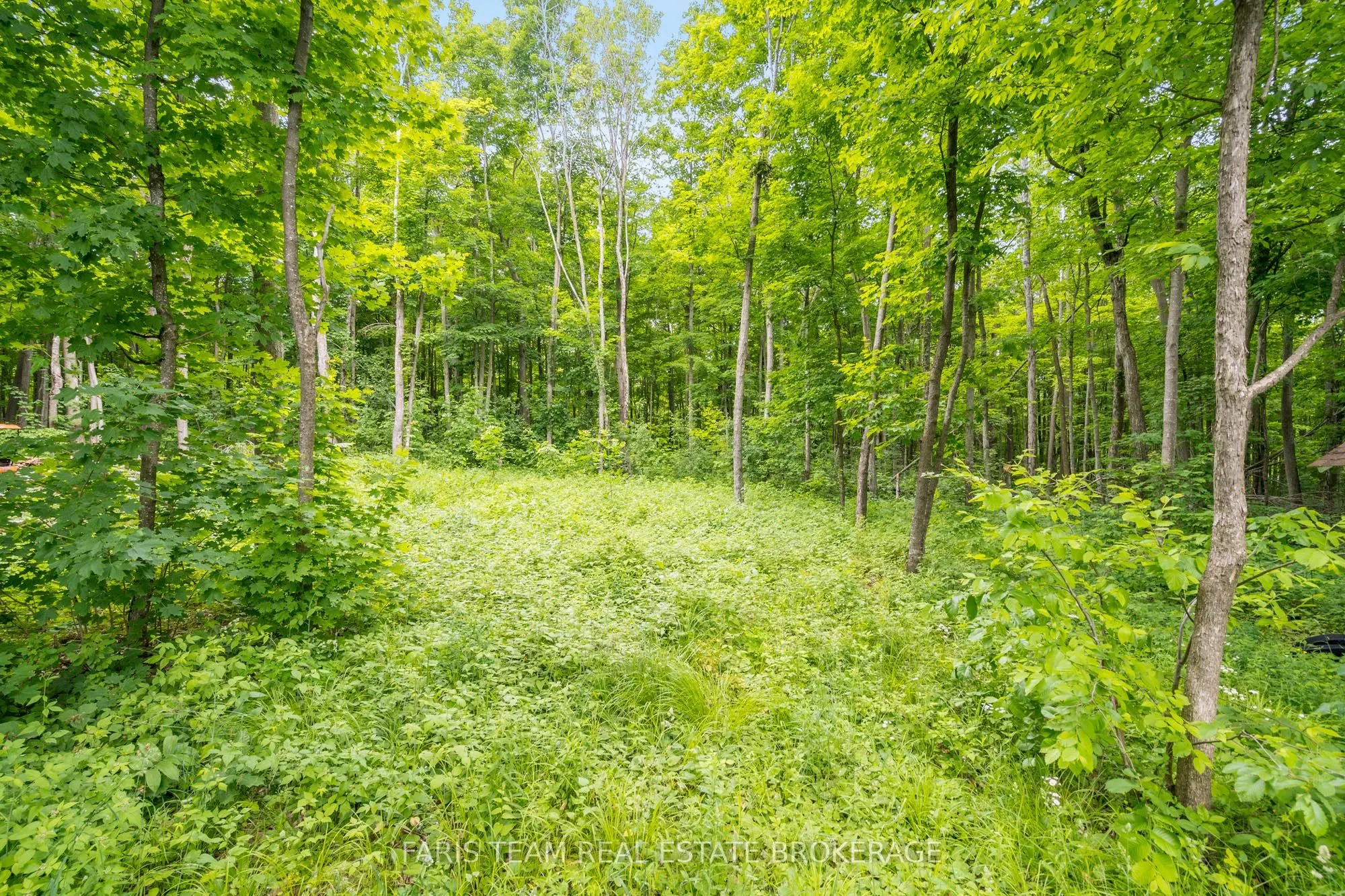 365 Robins Point Road