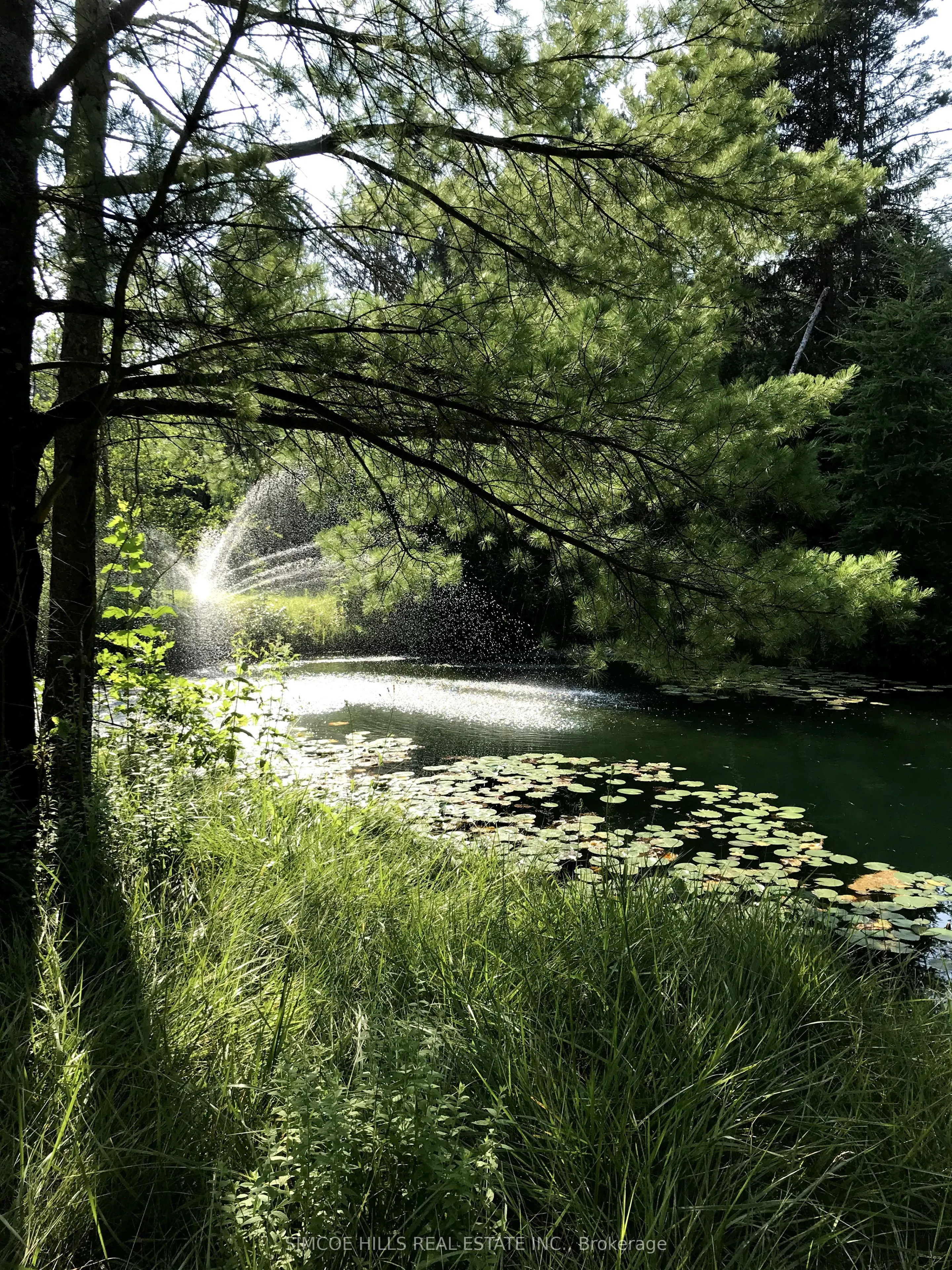 185 Medonte Sideroad 2 Road
