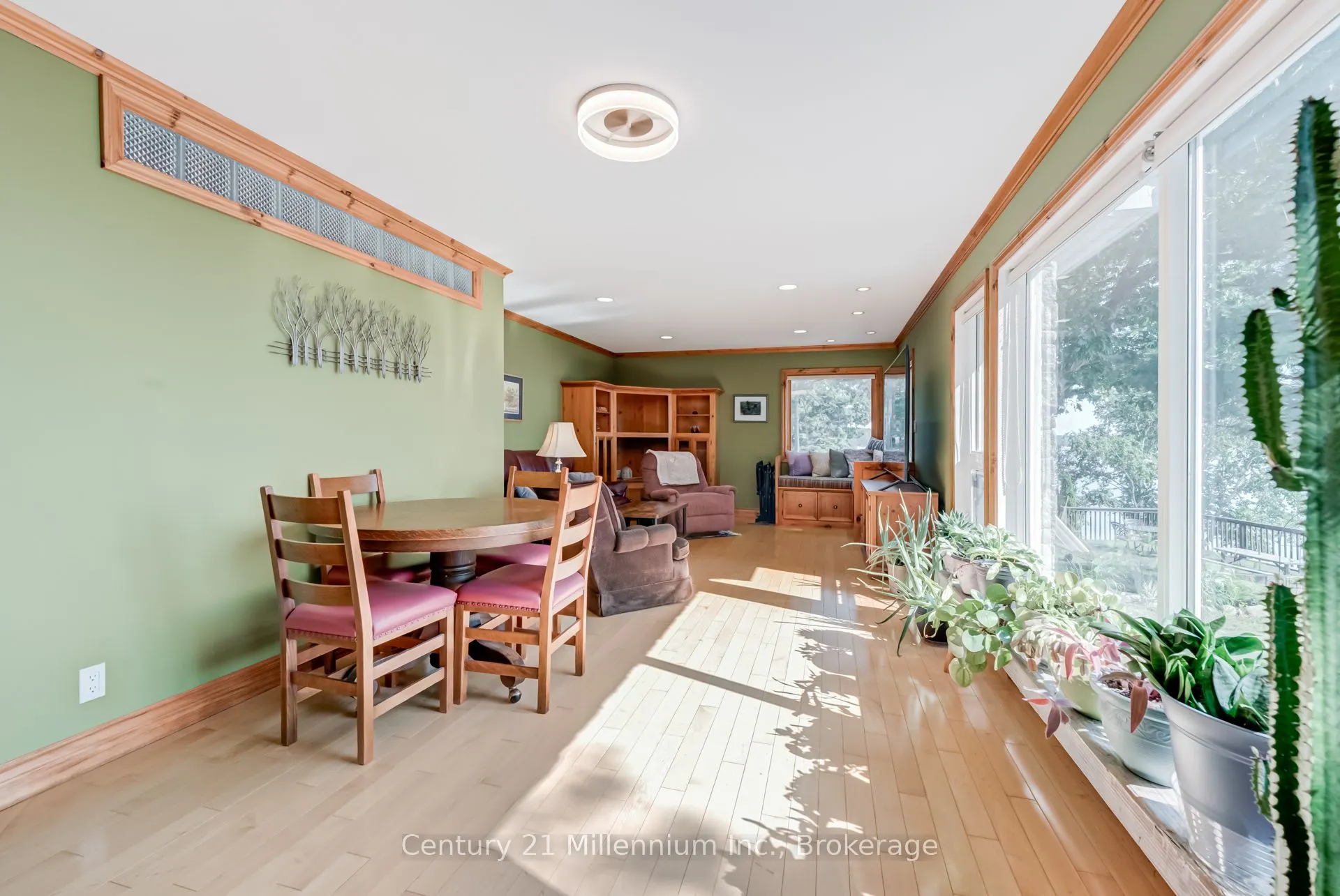 8 Willow Drive