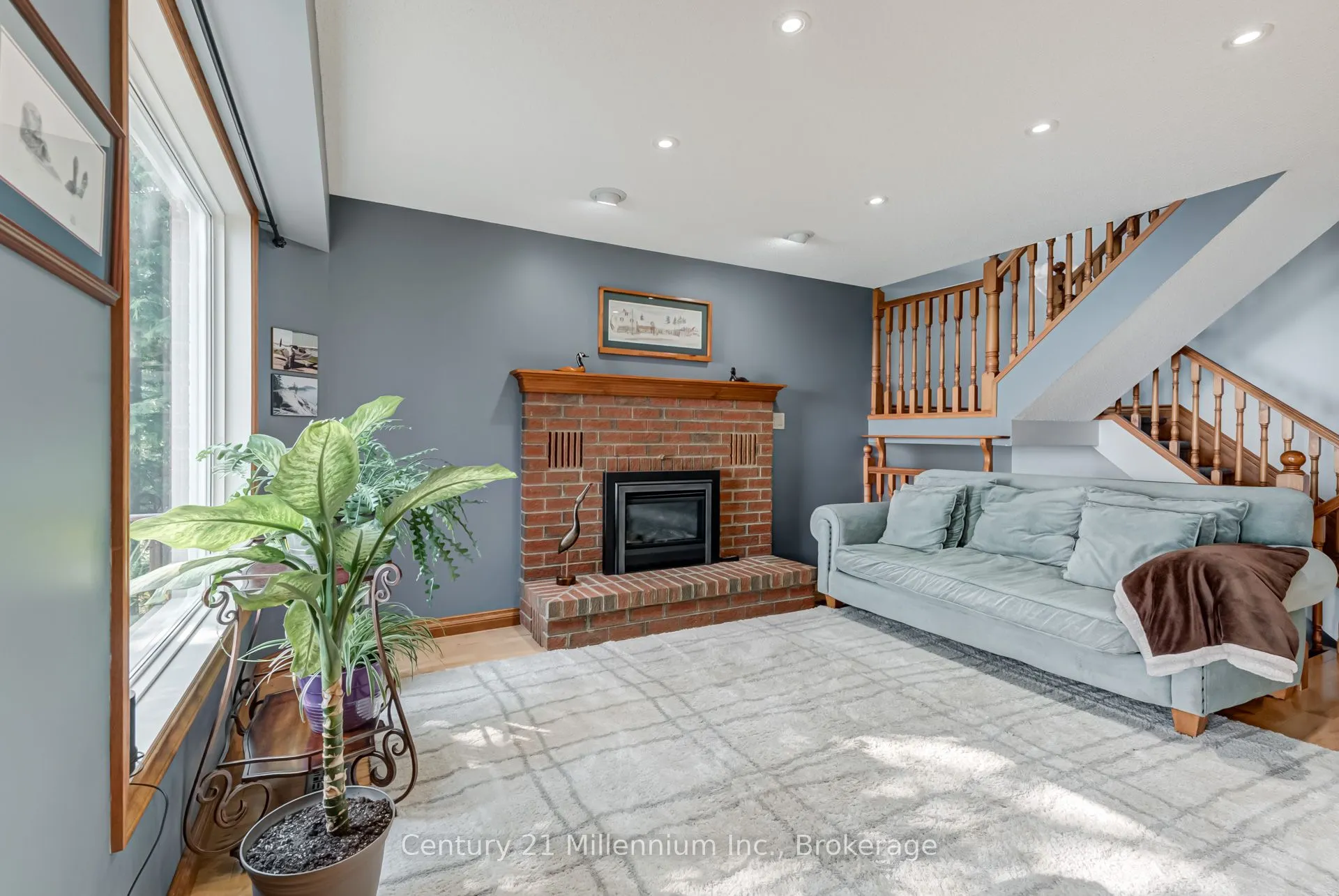 8 Willow Drive