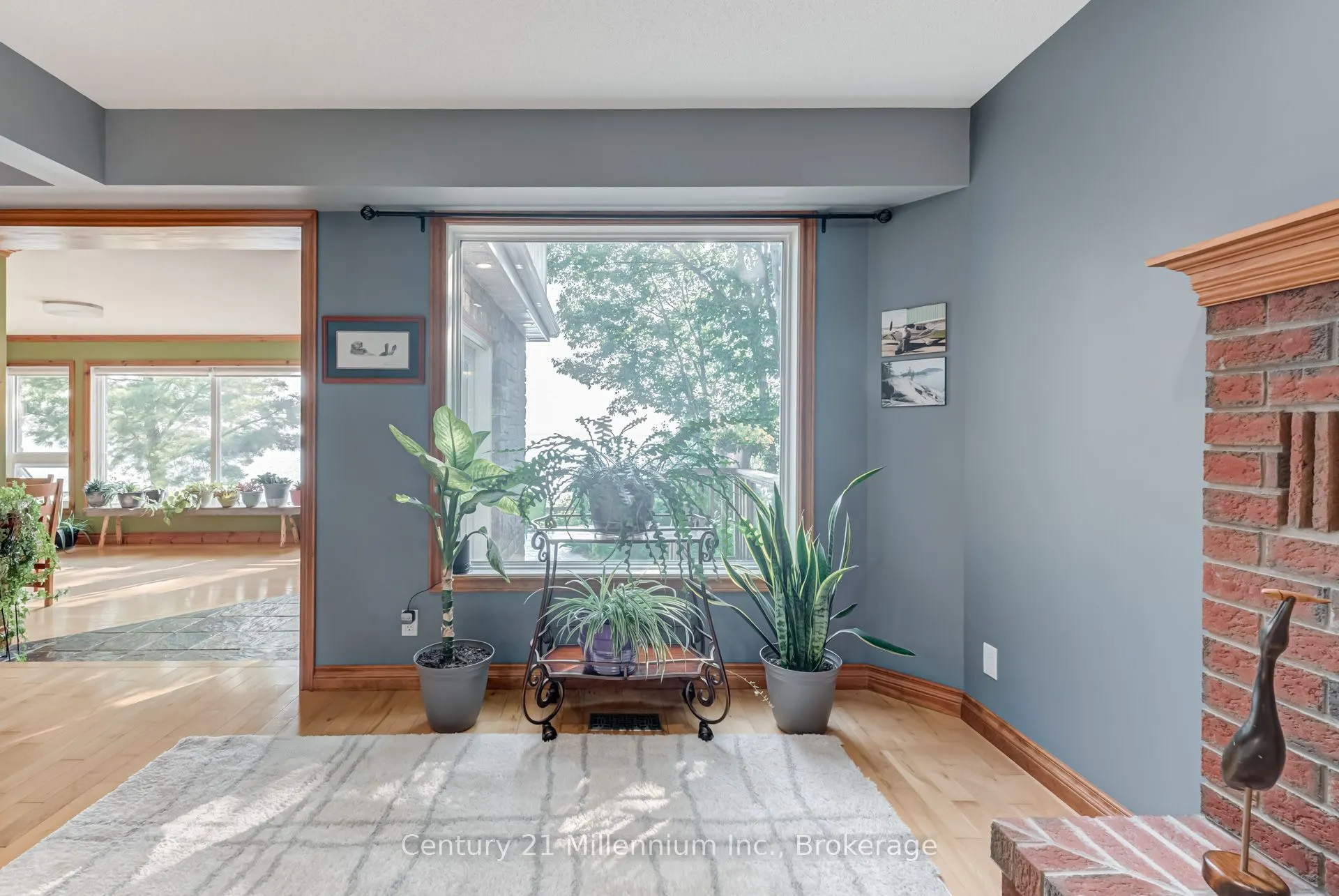 8 Willow Drive