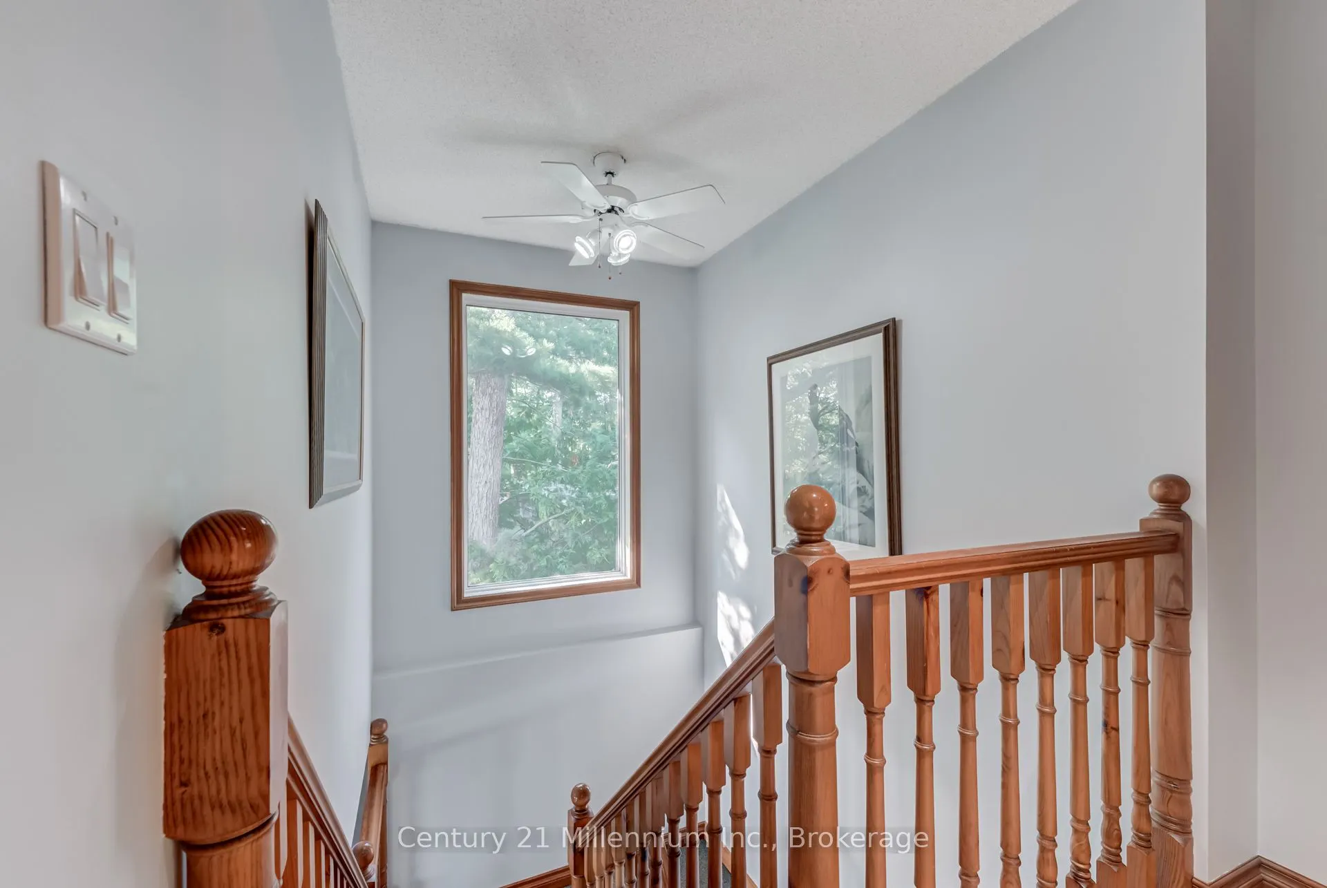 8 Willow Drive