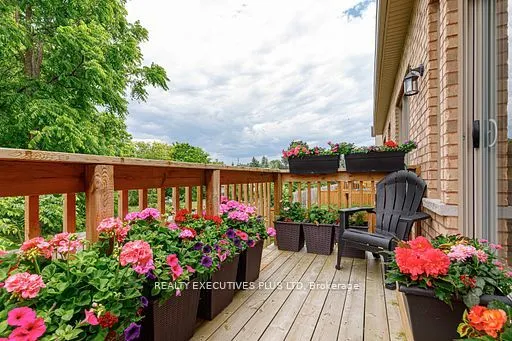 25 Mclean Avenue
