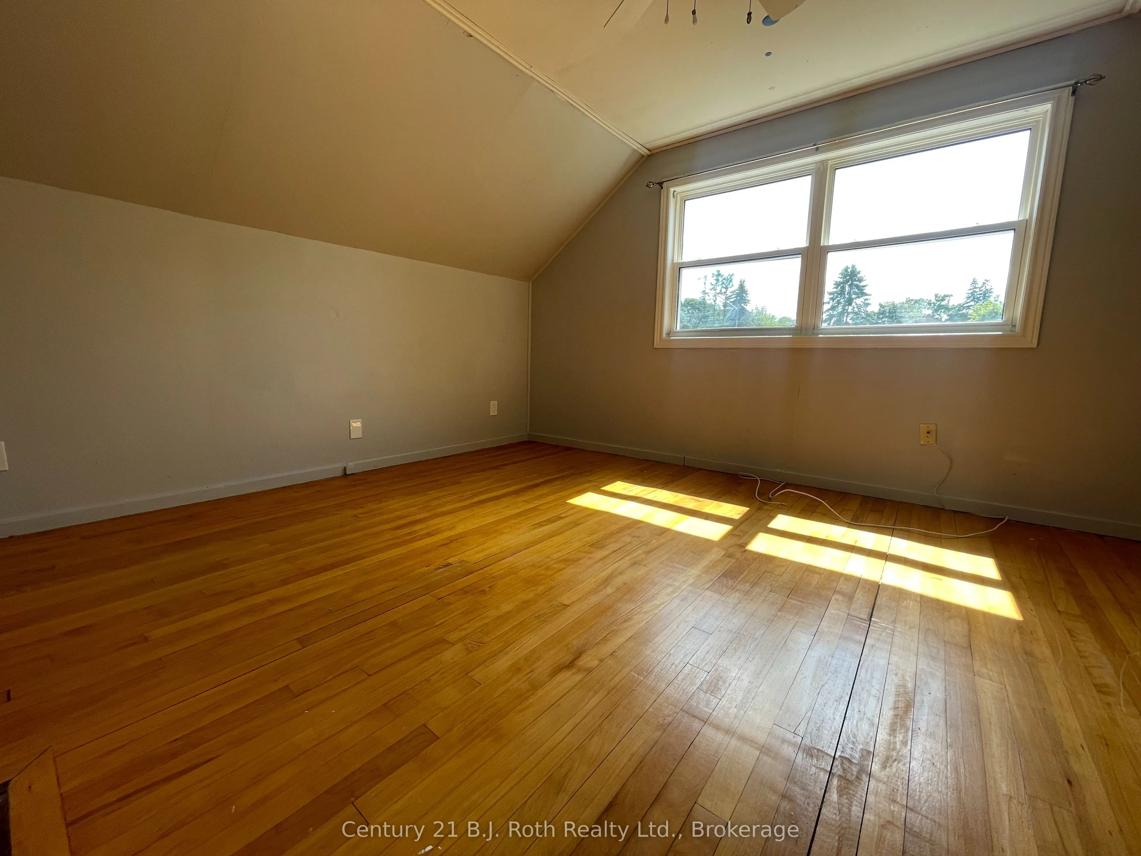 5 Albany Avenue