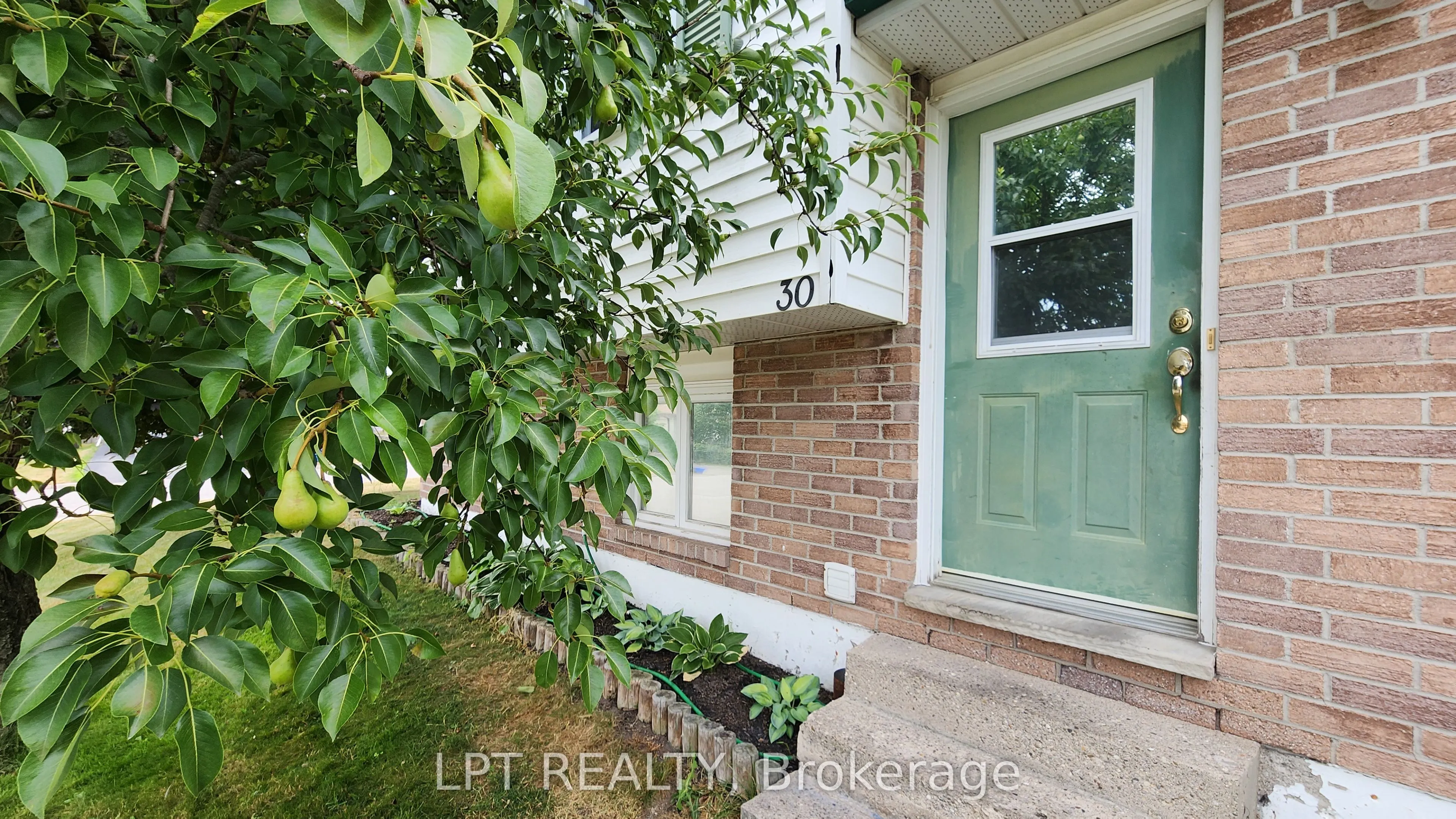 30 McConkey Place