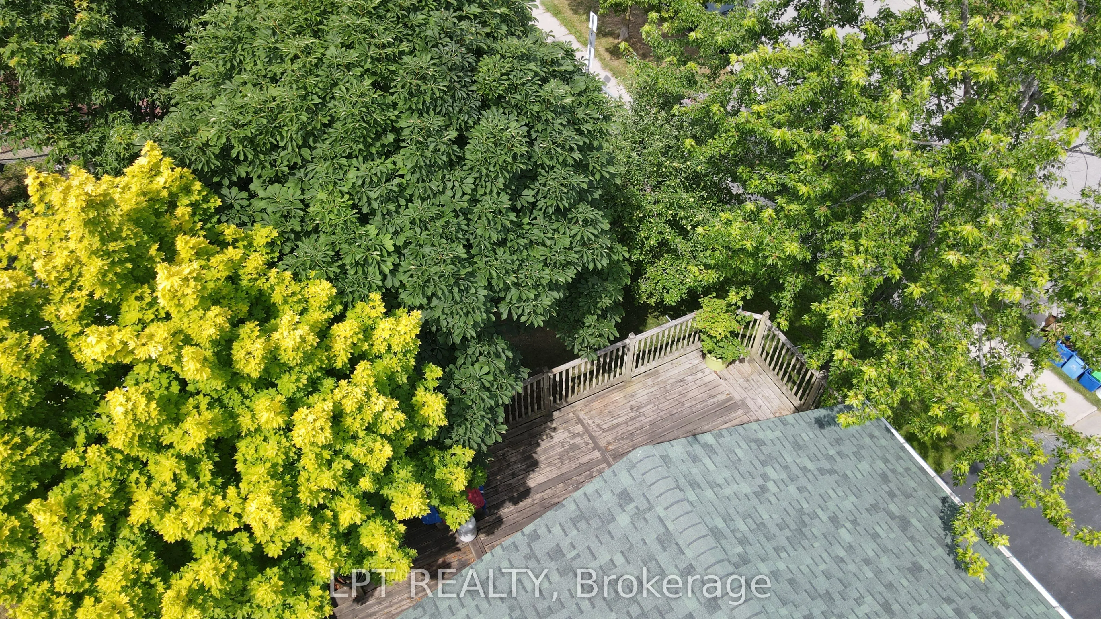 30 McConkey Place