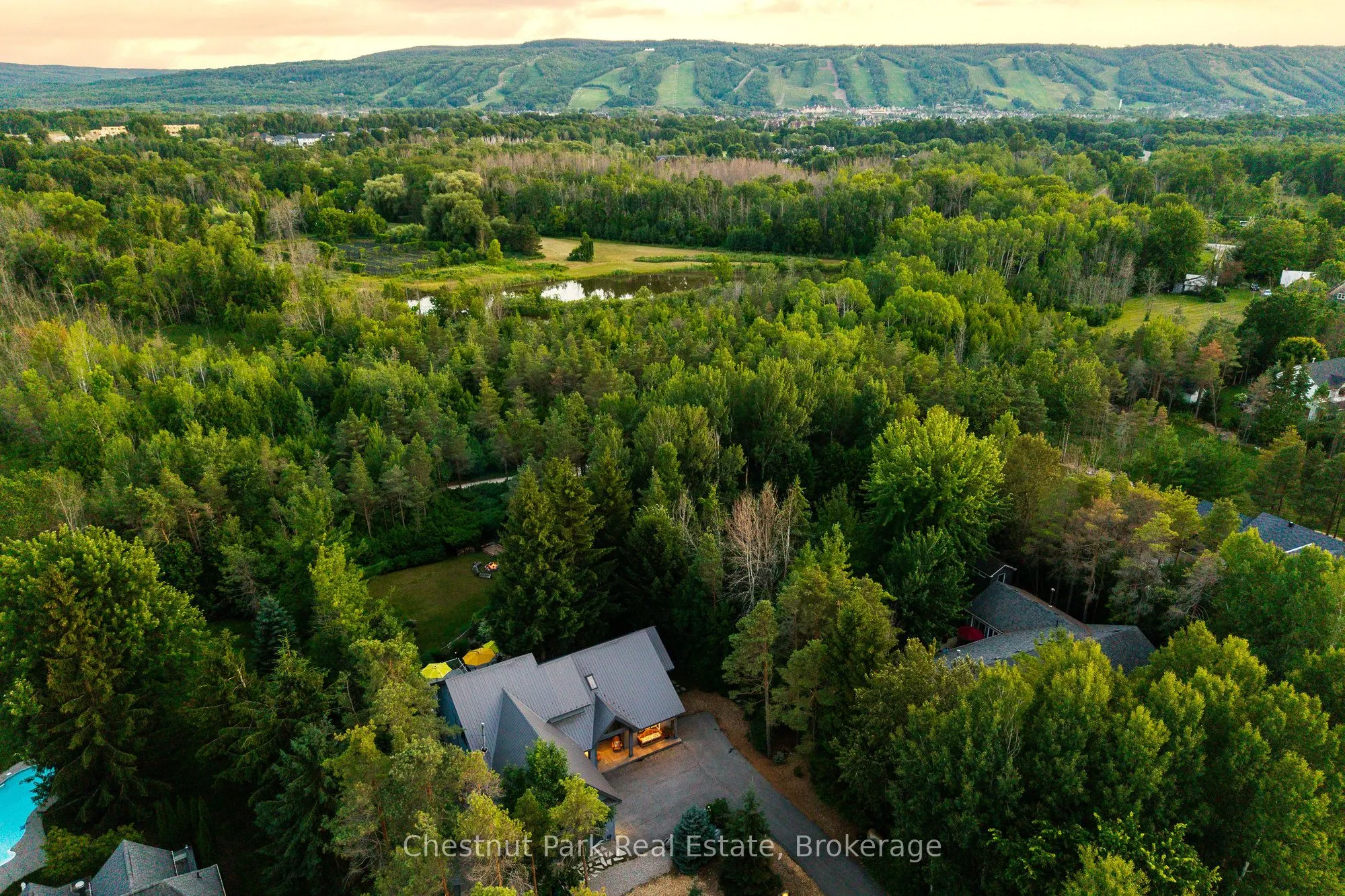 23 Forest Drive