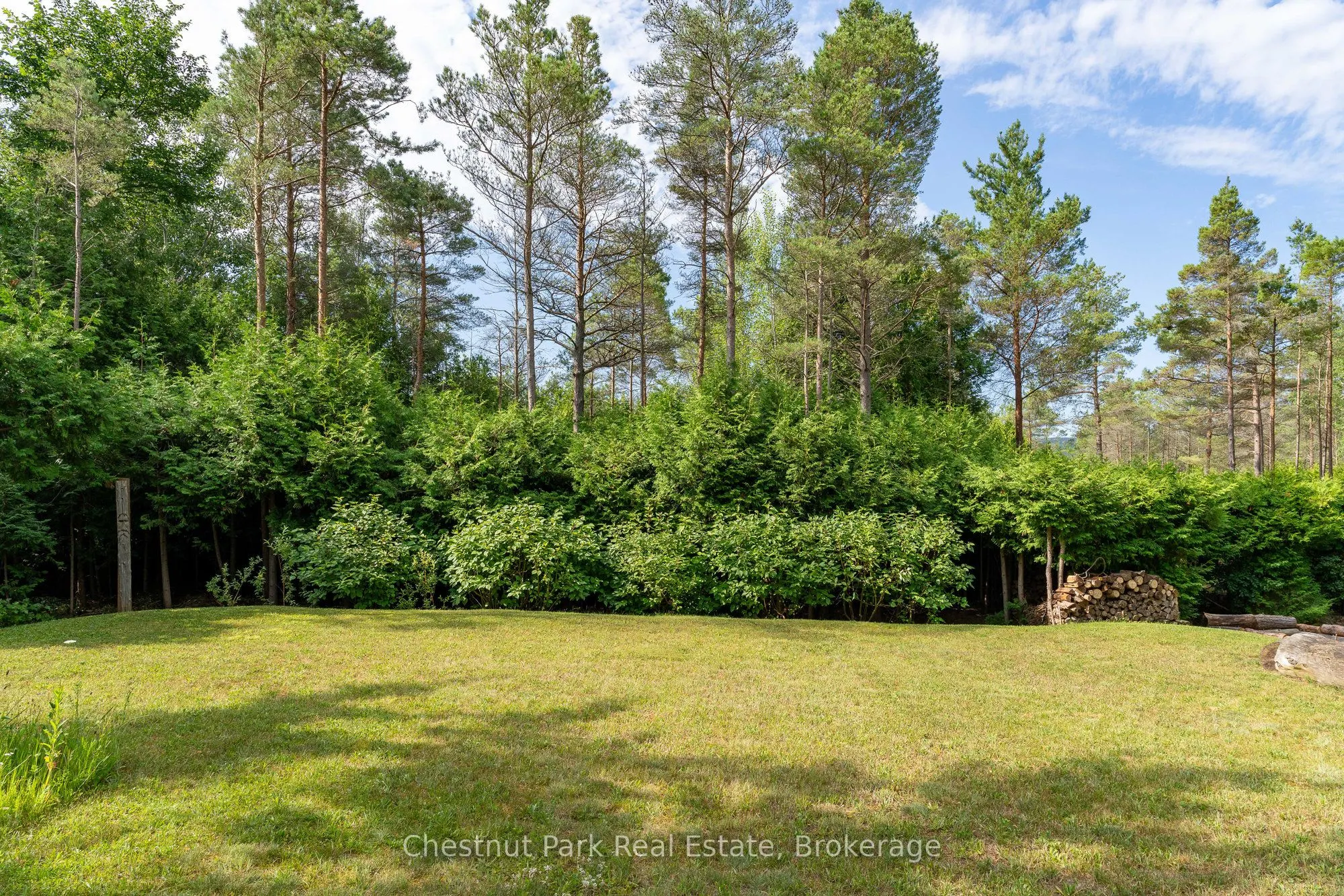 23 Forest Drive