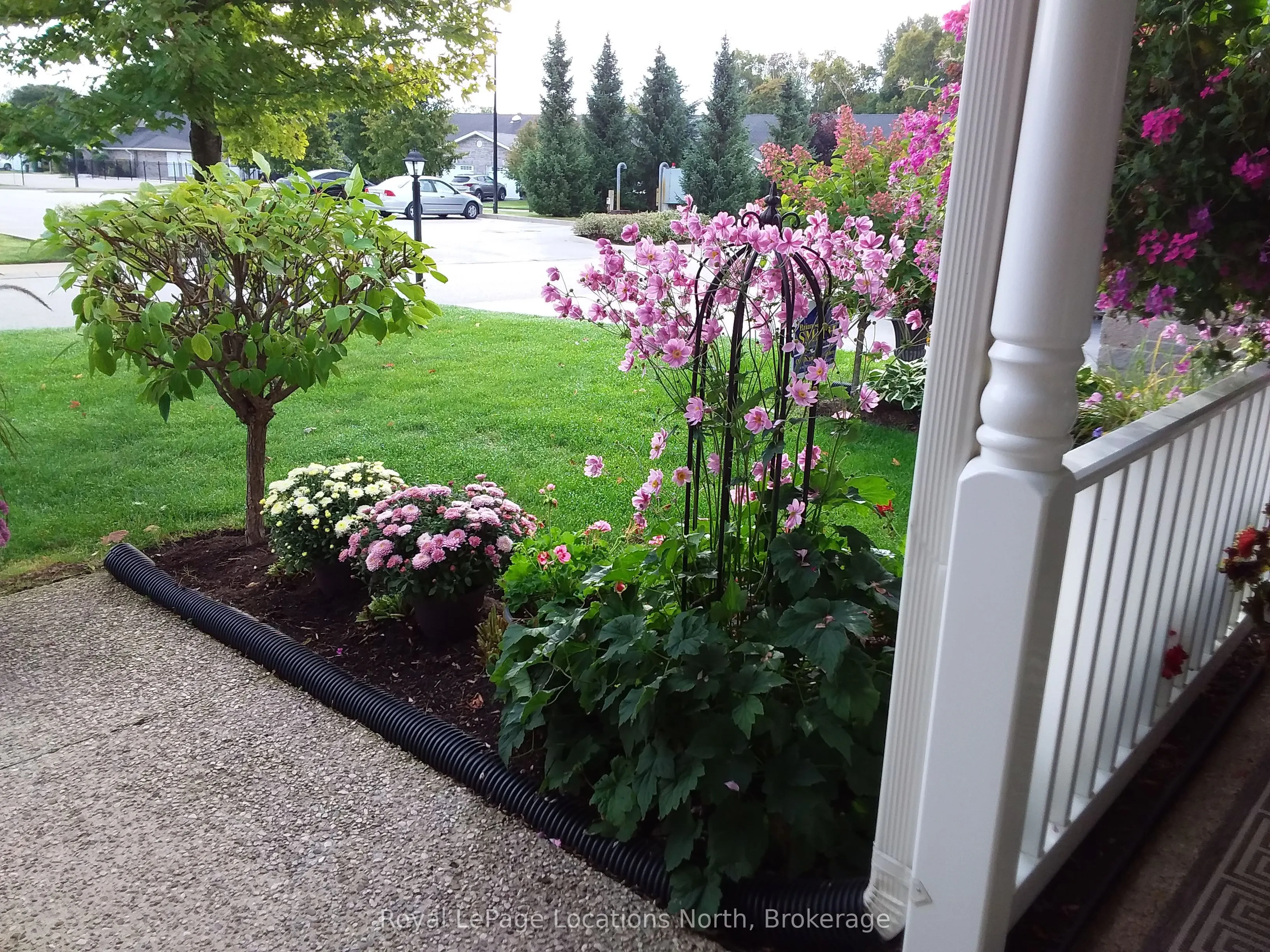 56 GARDEN GROVE Crescent