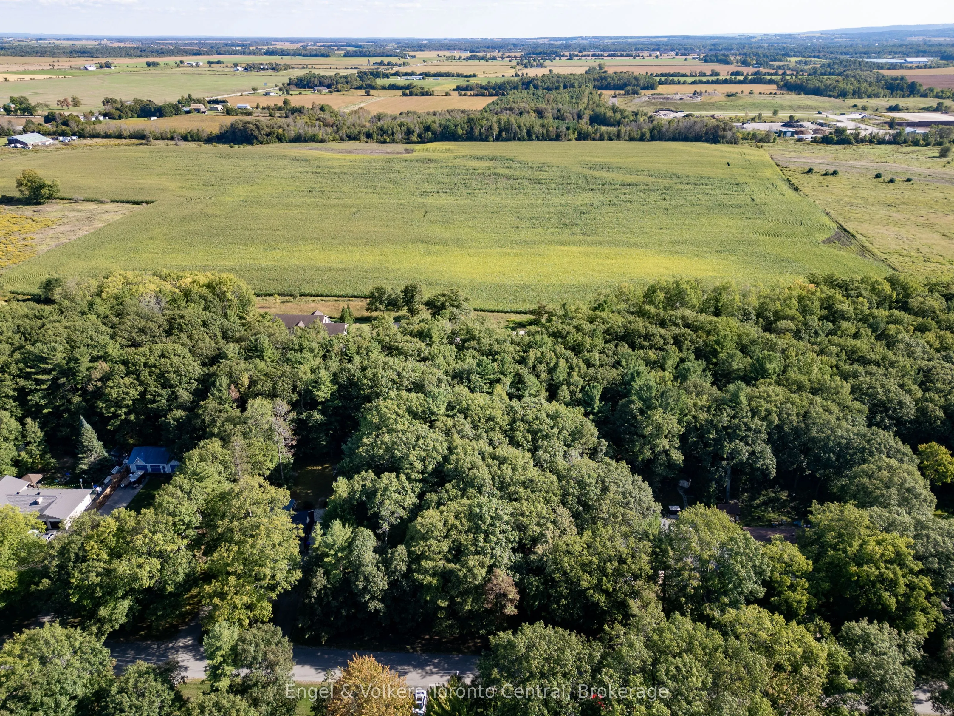 173 Wildwood Drive
