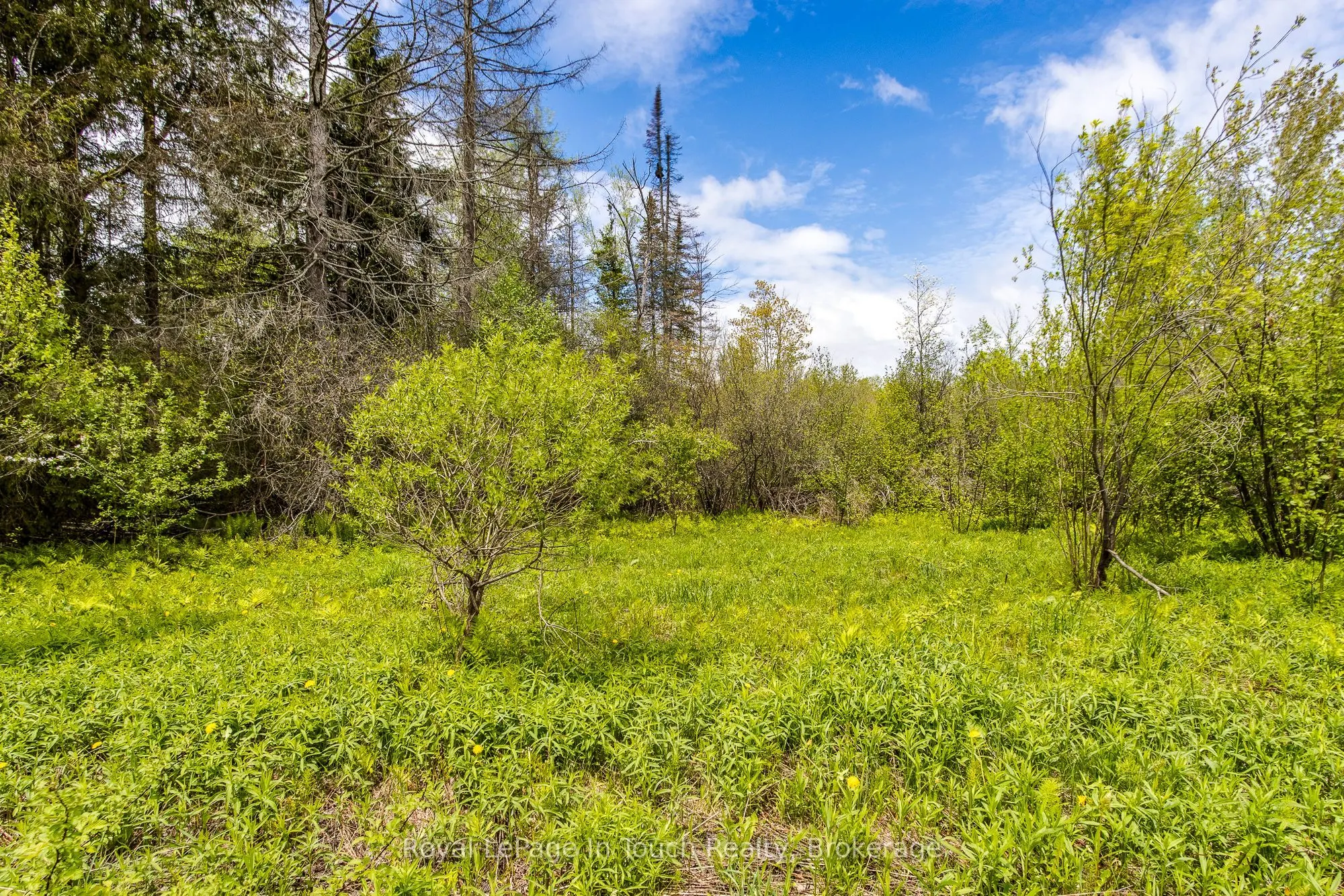 284 Concession 12 Road E