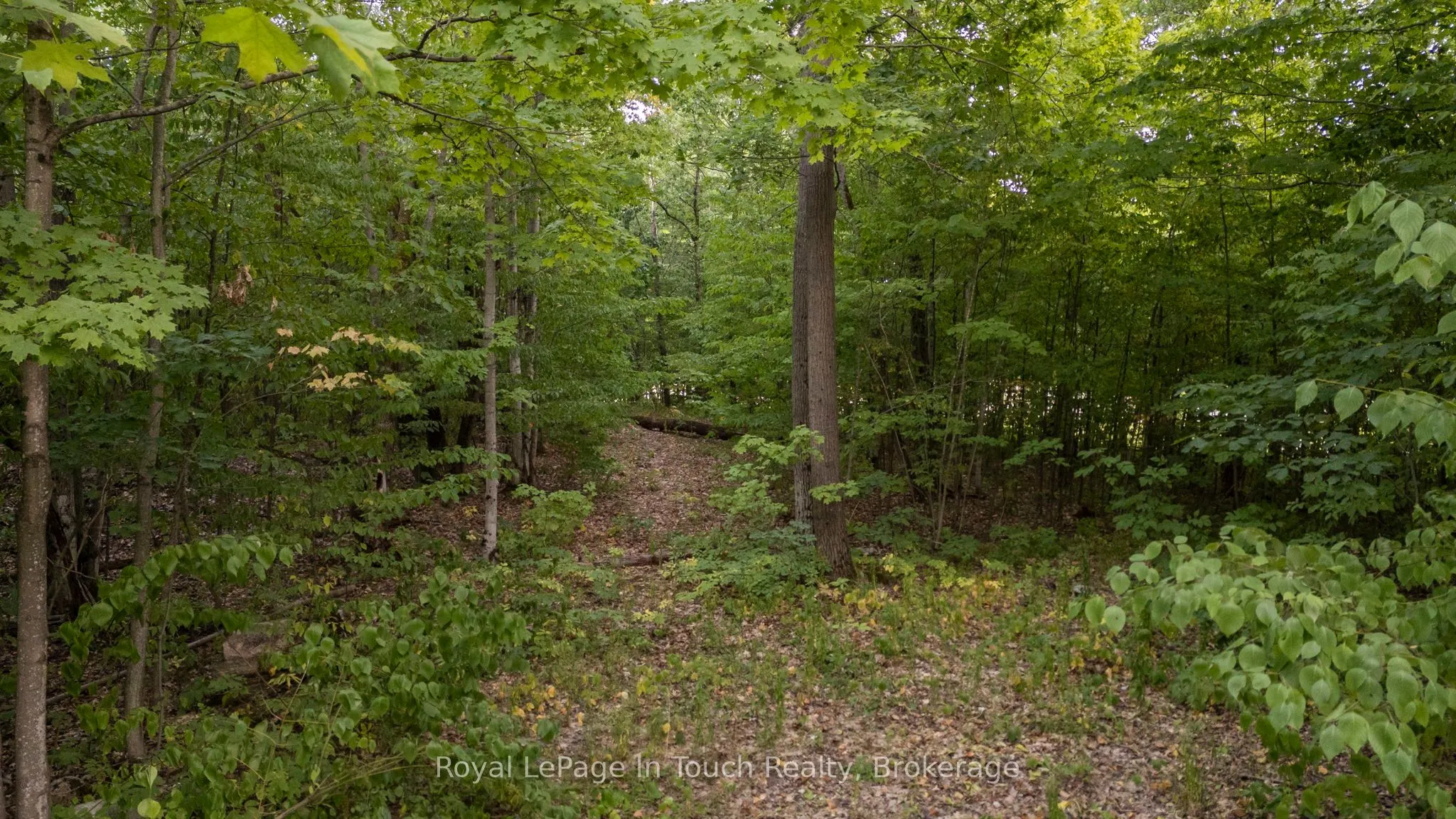 3857 Darling Island Road