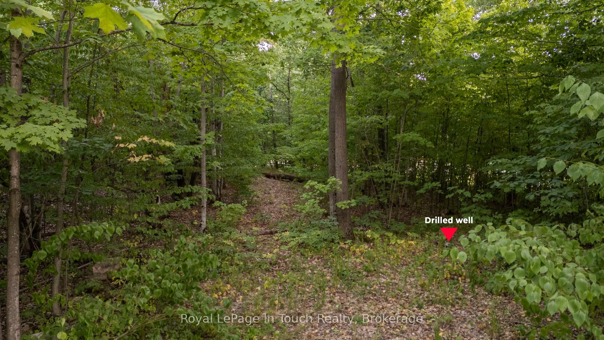 3857 Darling Island Road