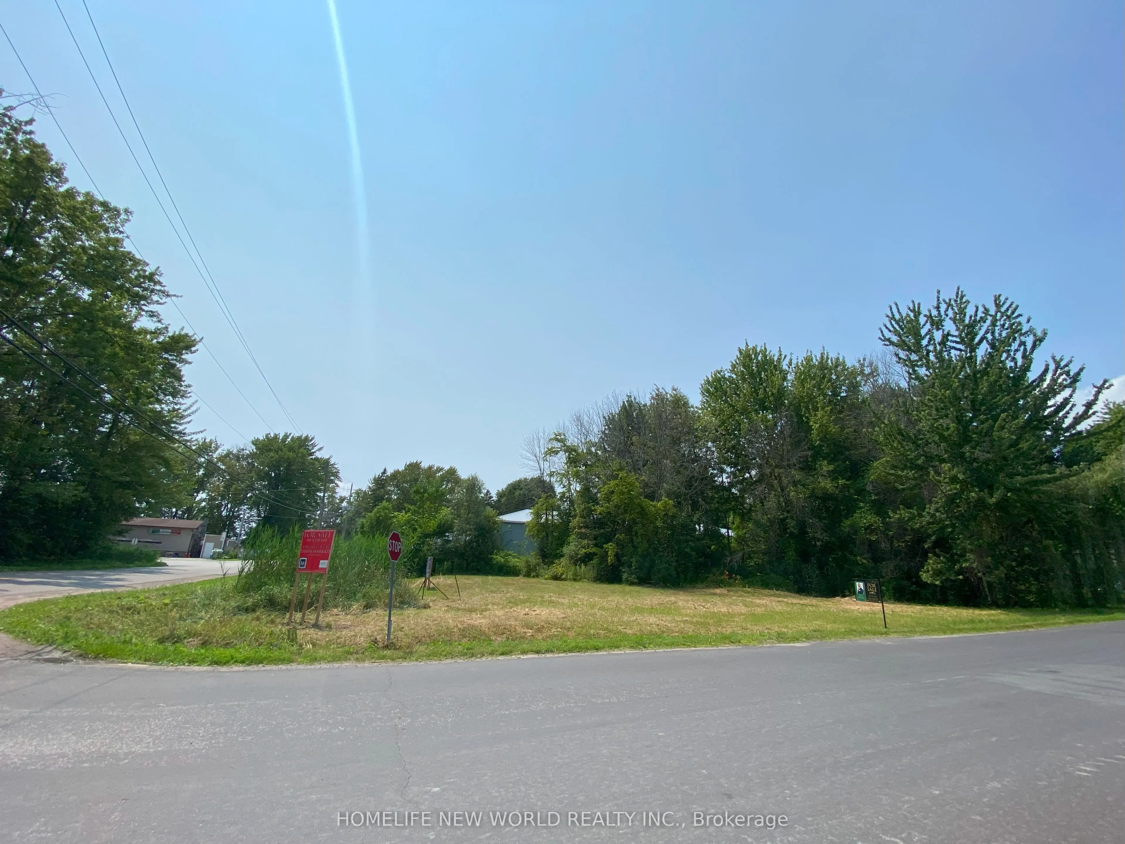 18 Simcoe Road