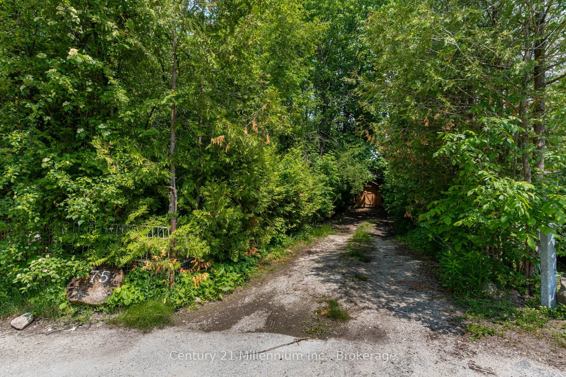 75 Glen Road
