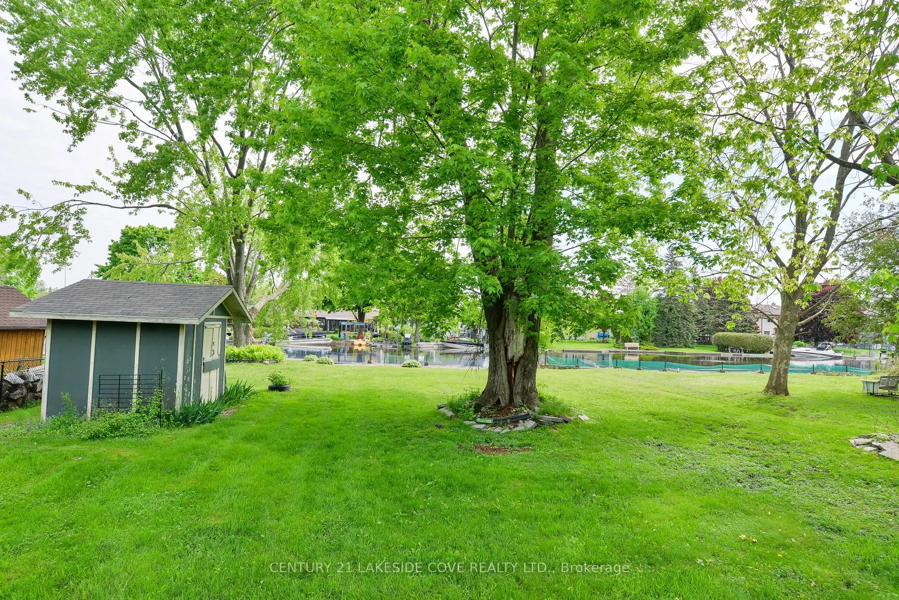 9 Pinetree Court