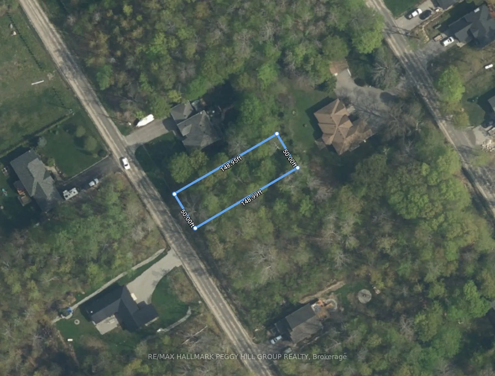 81 Wozniak Road
