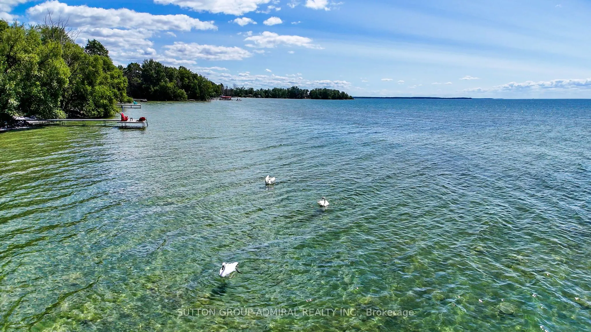 2232 Lakeshore Drive