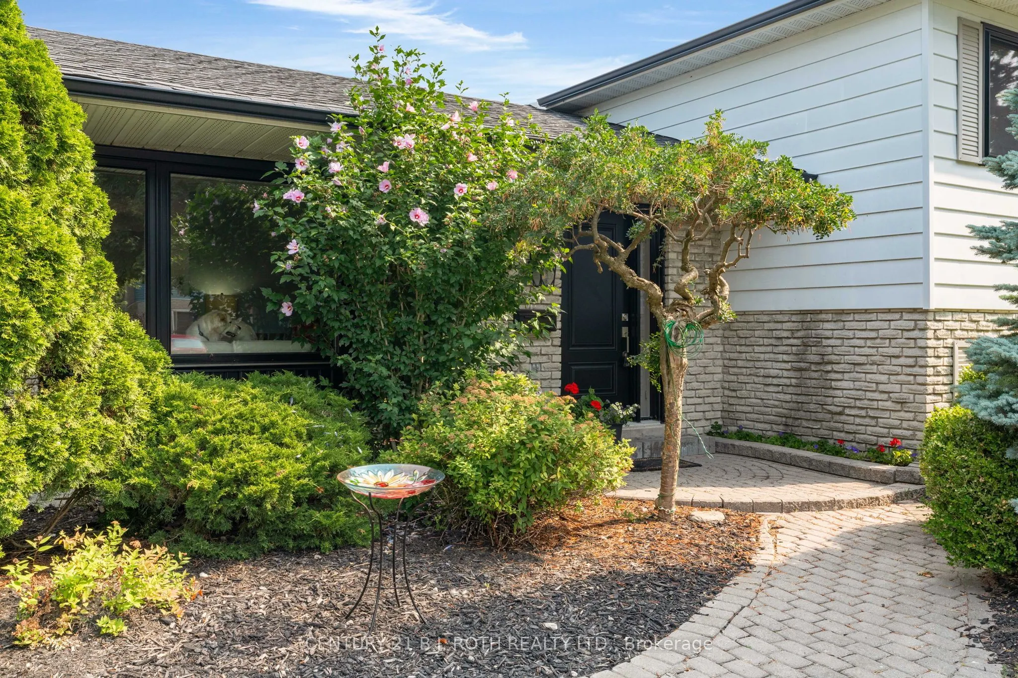 50 Belcourt Avenue