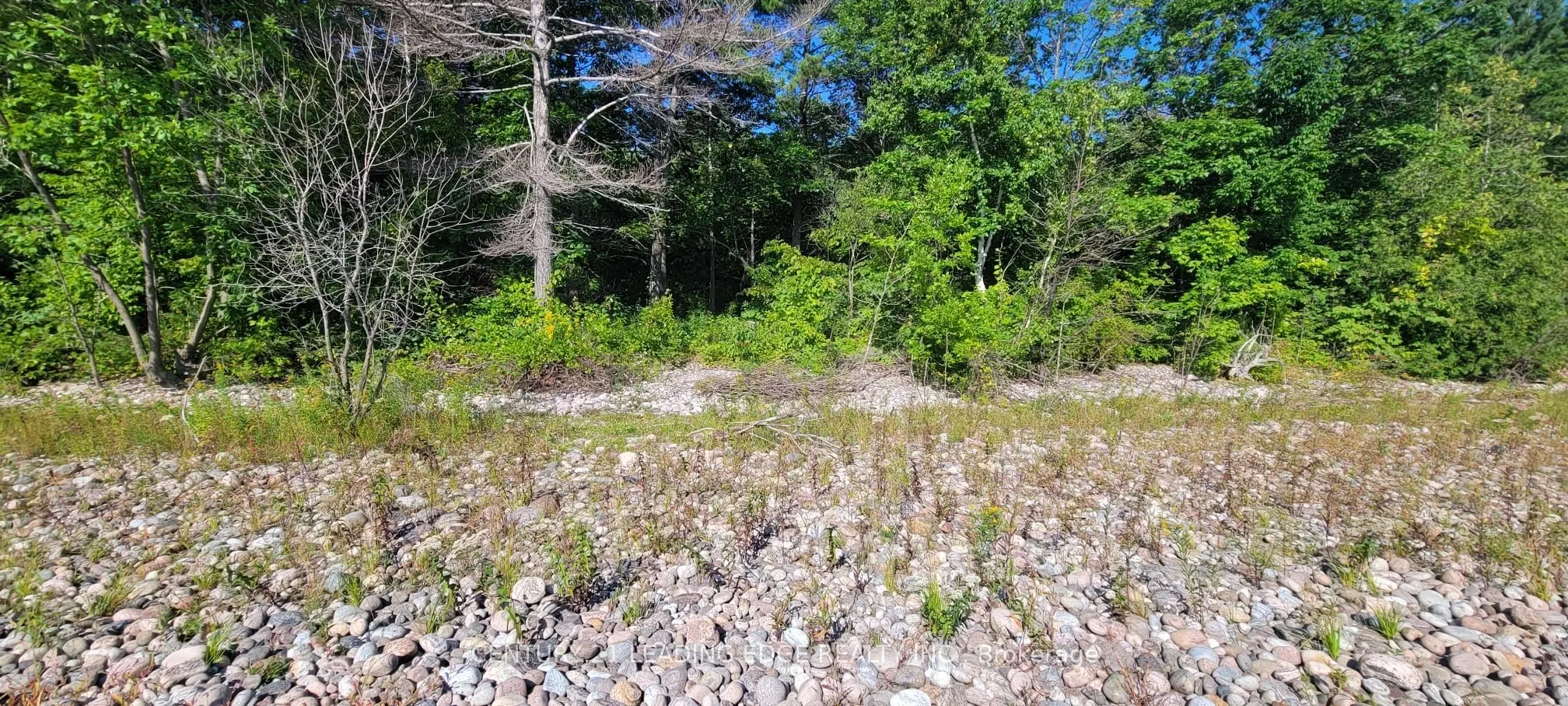 16 GIANT'S TOMB ISLAND