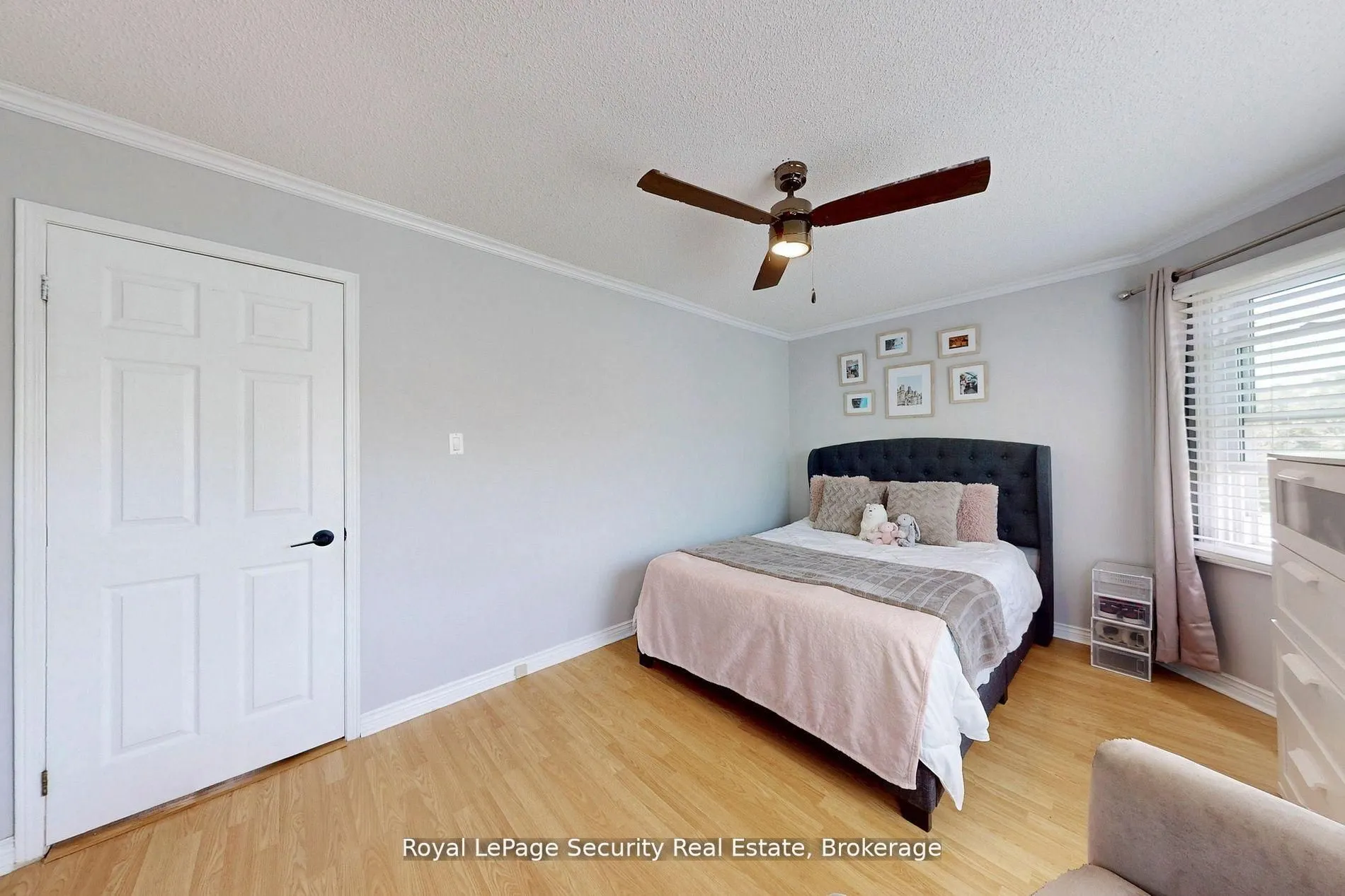 122 Browning Trail