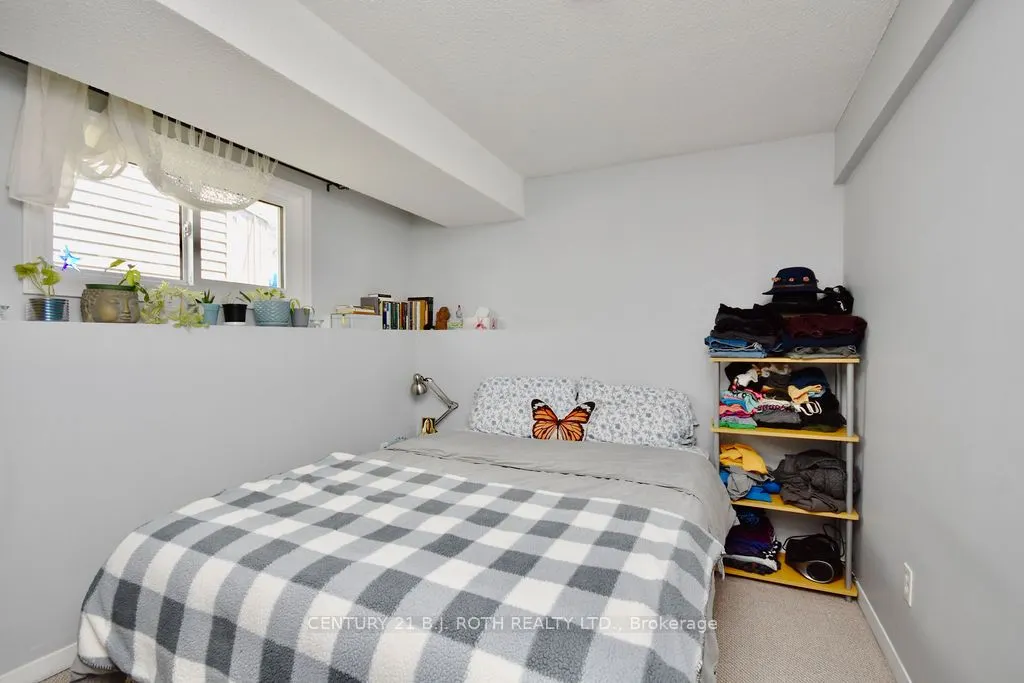 47 D'ambrosio Drive
