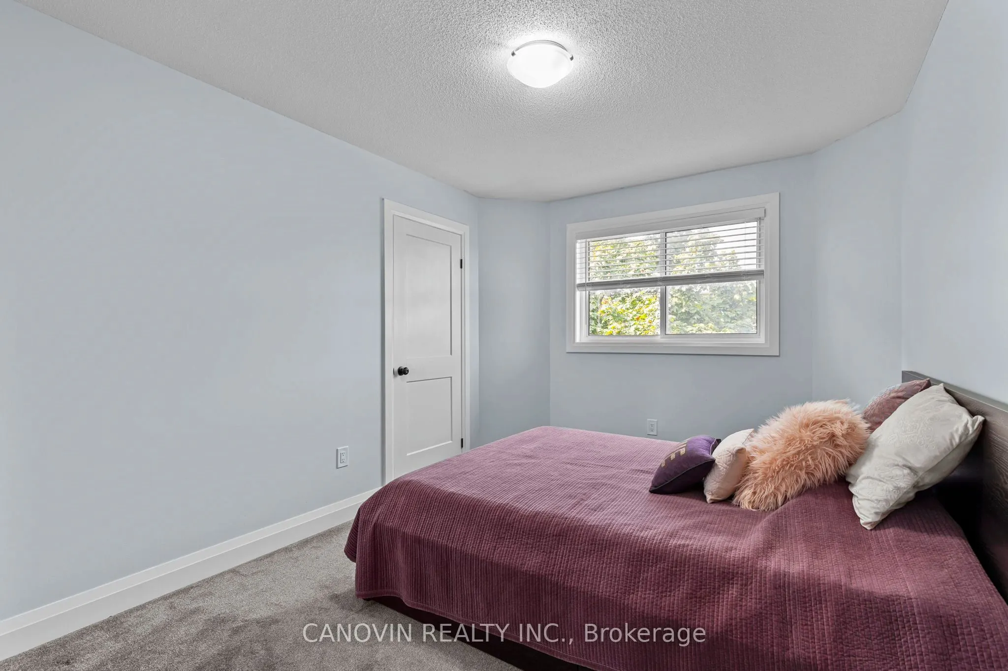 117 Violet Street