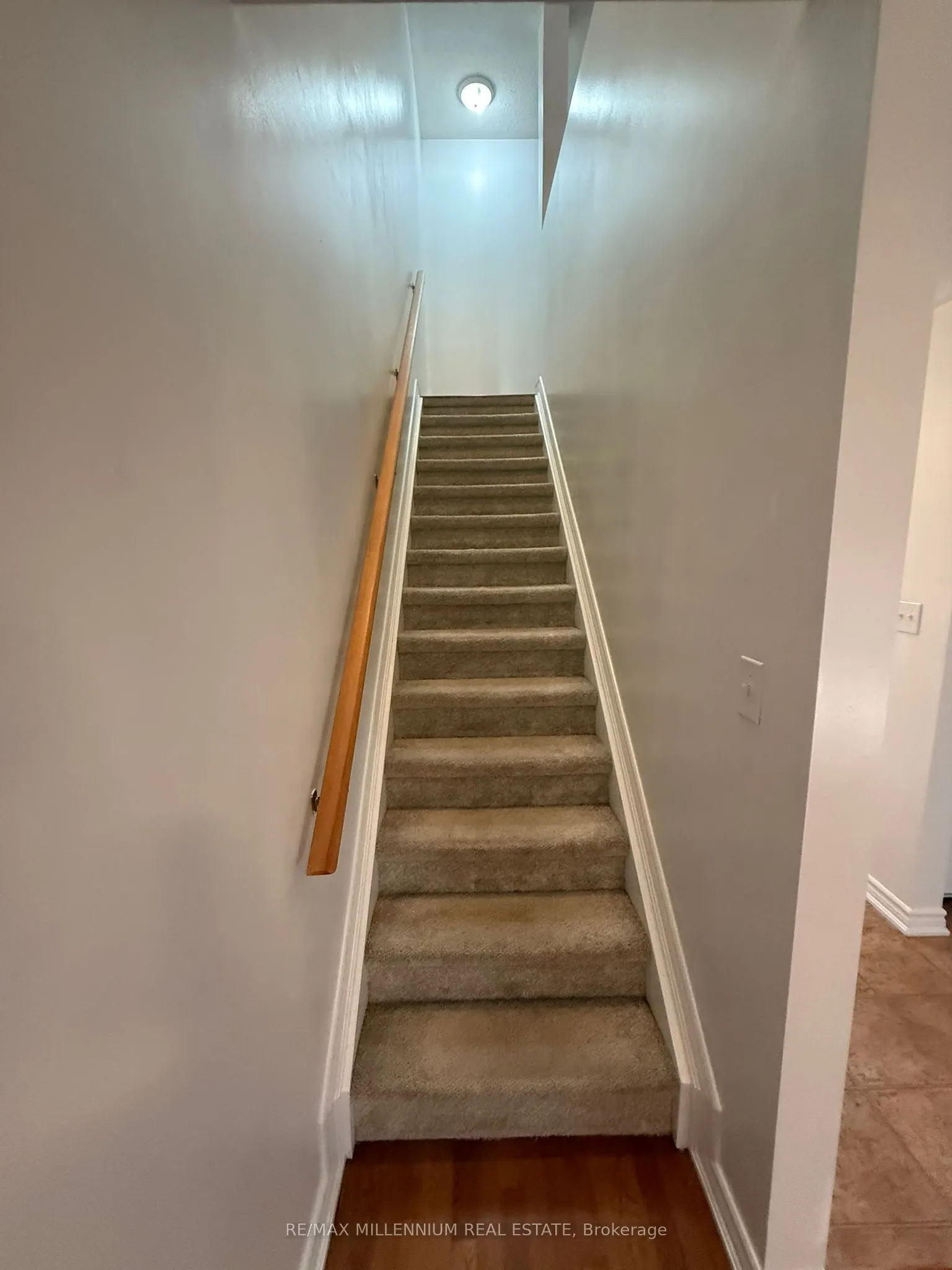 53 Michelle Drive